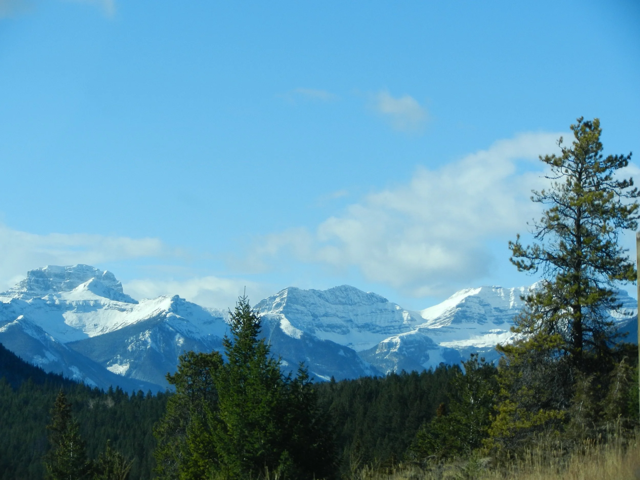 DSCN3428.jpg