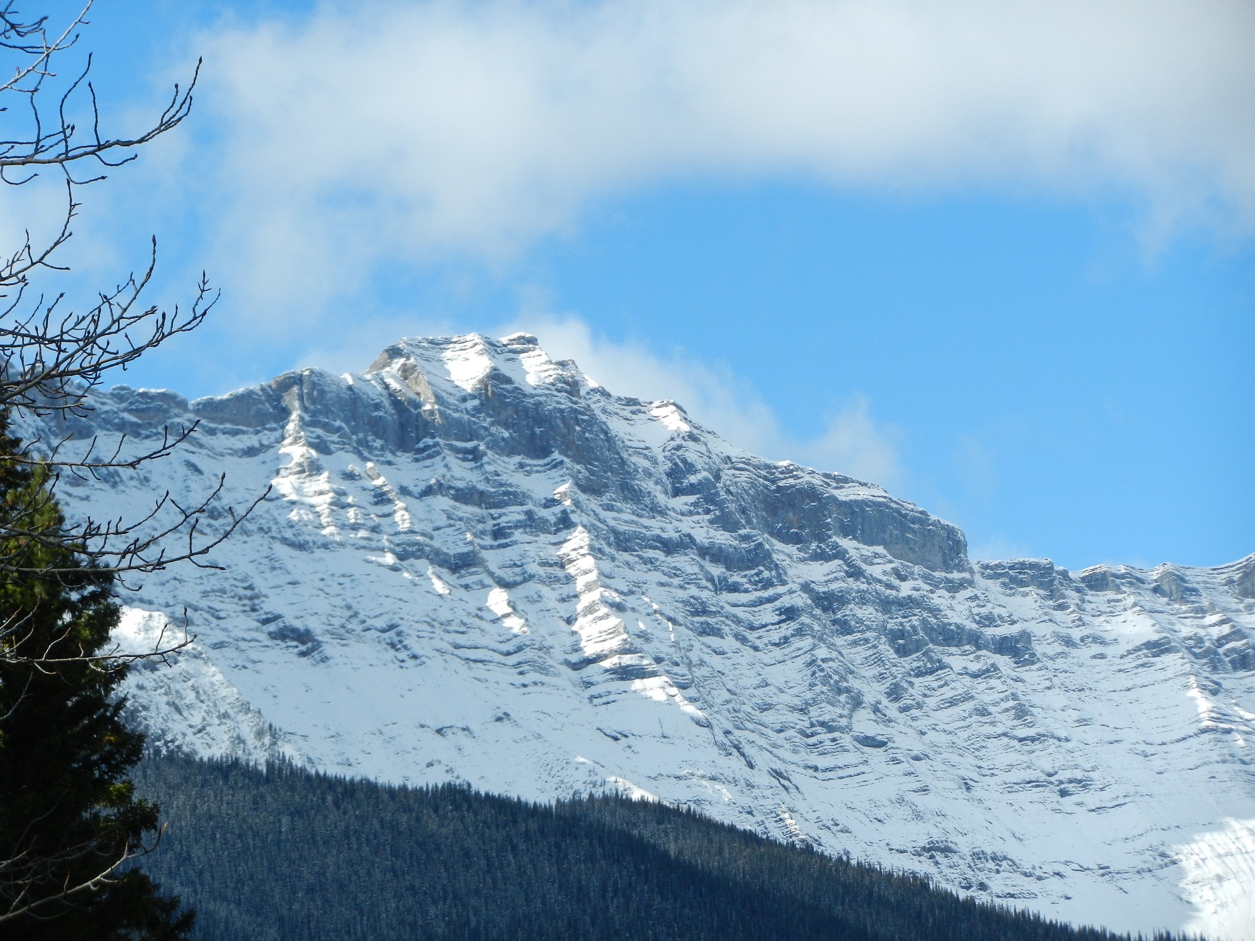 DSCN3526.jpg