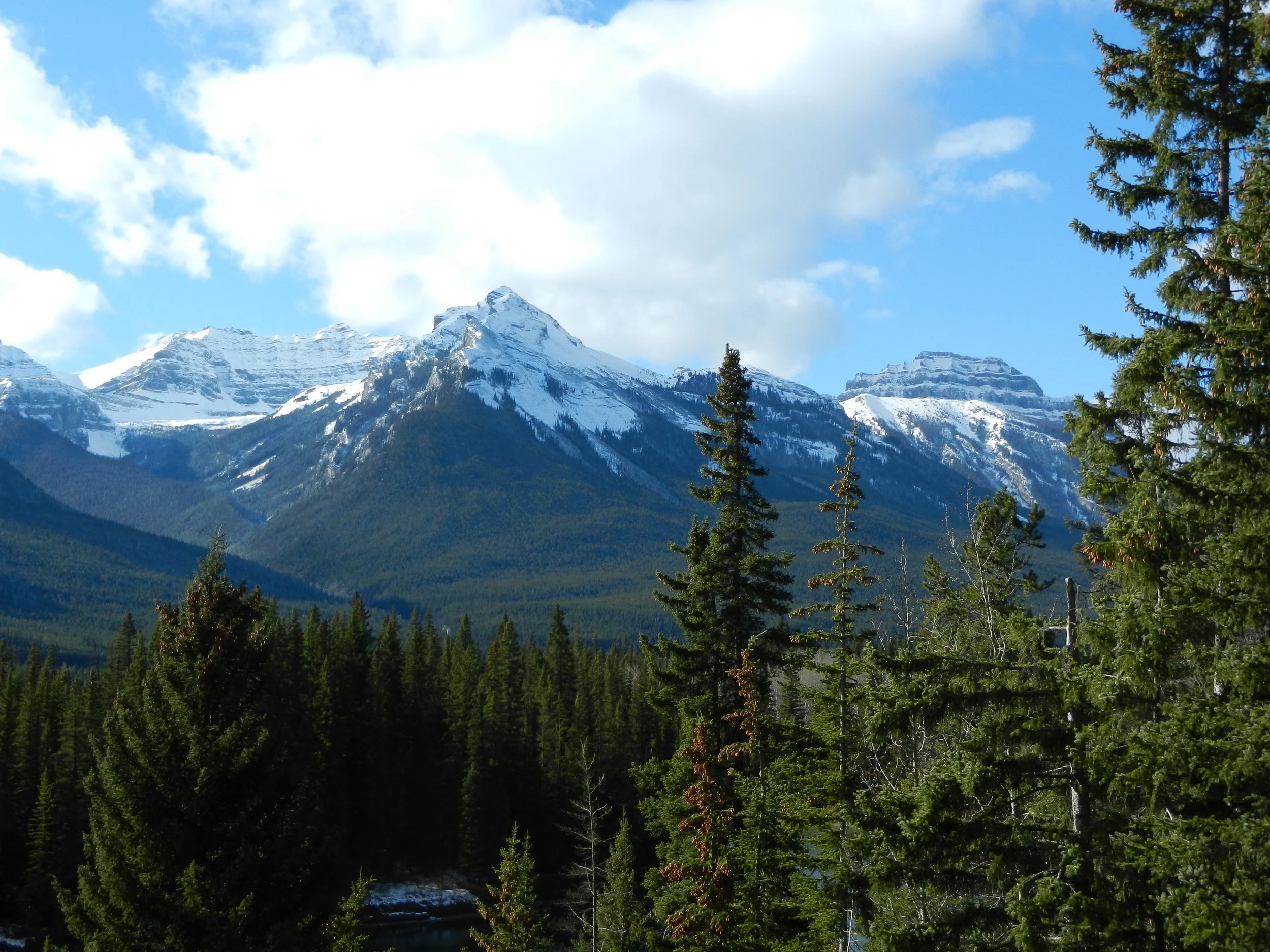 DSCN3607.jpg