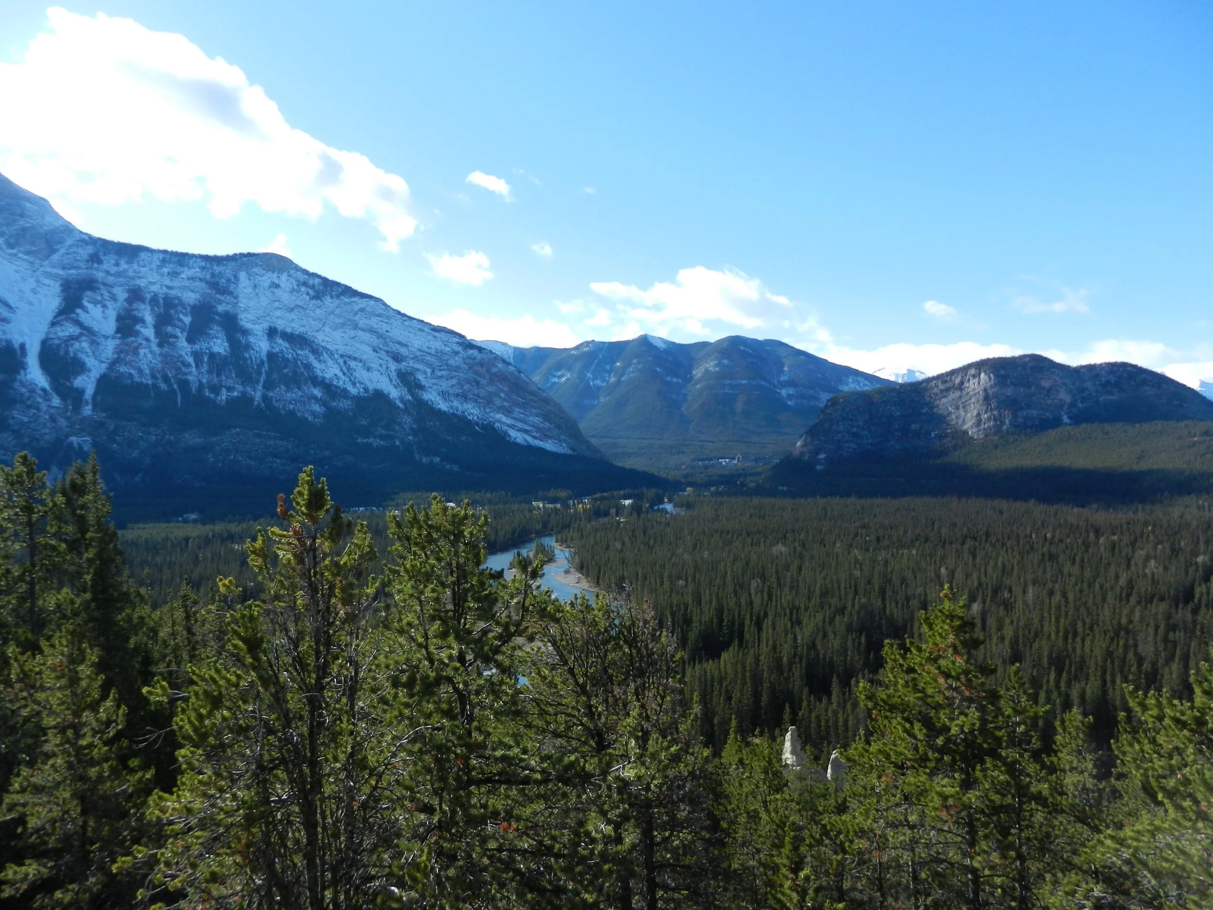 DSCN3418.jpg