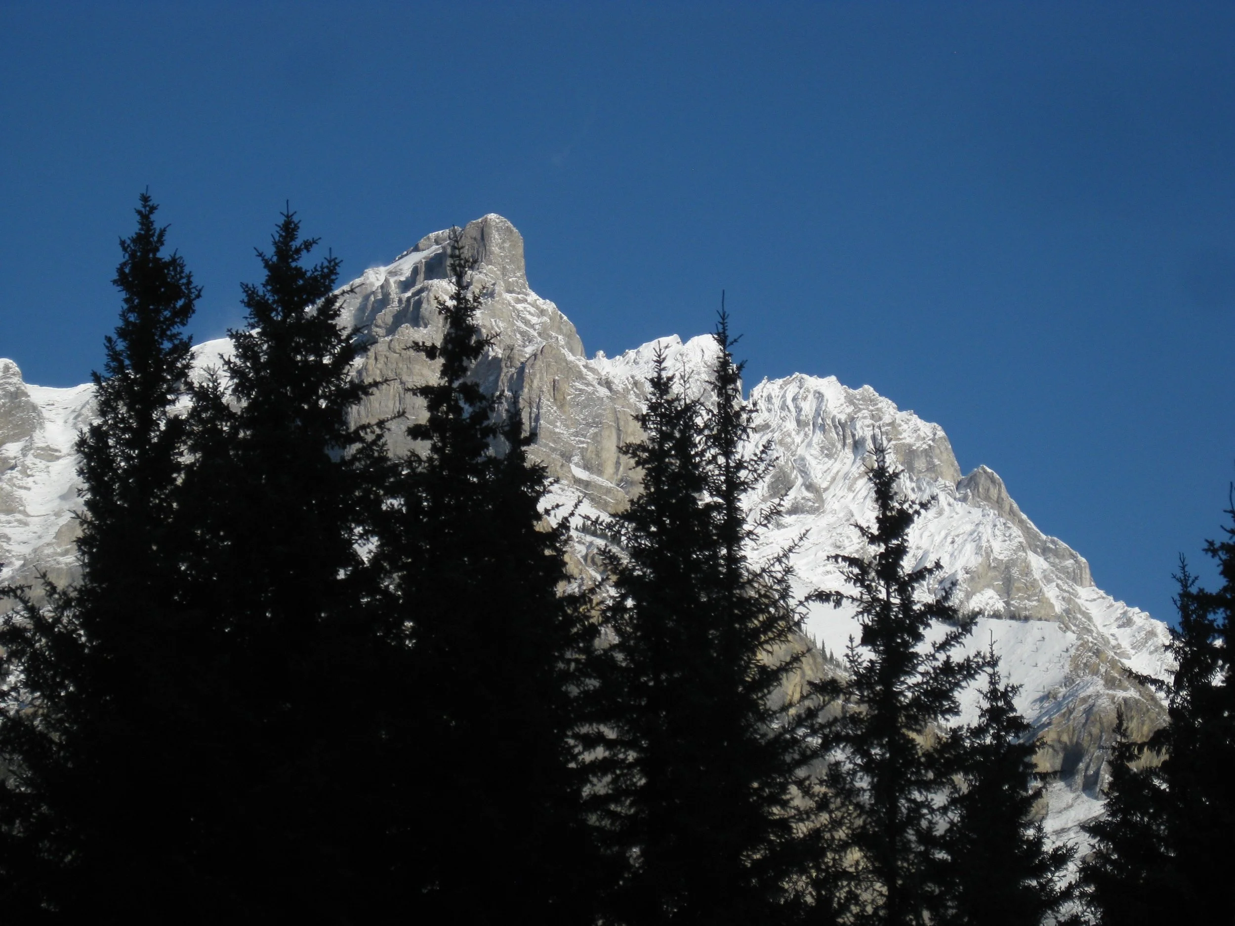 IMG_4310.jpg