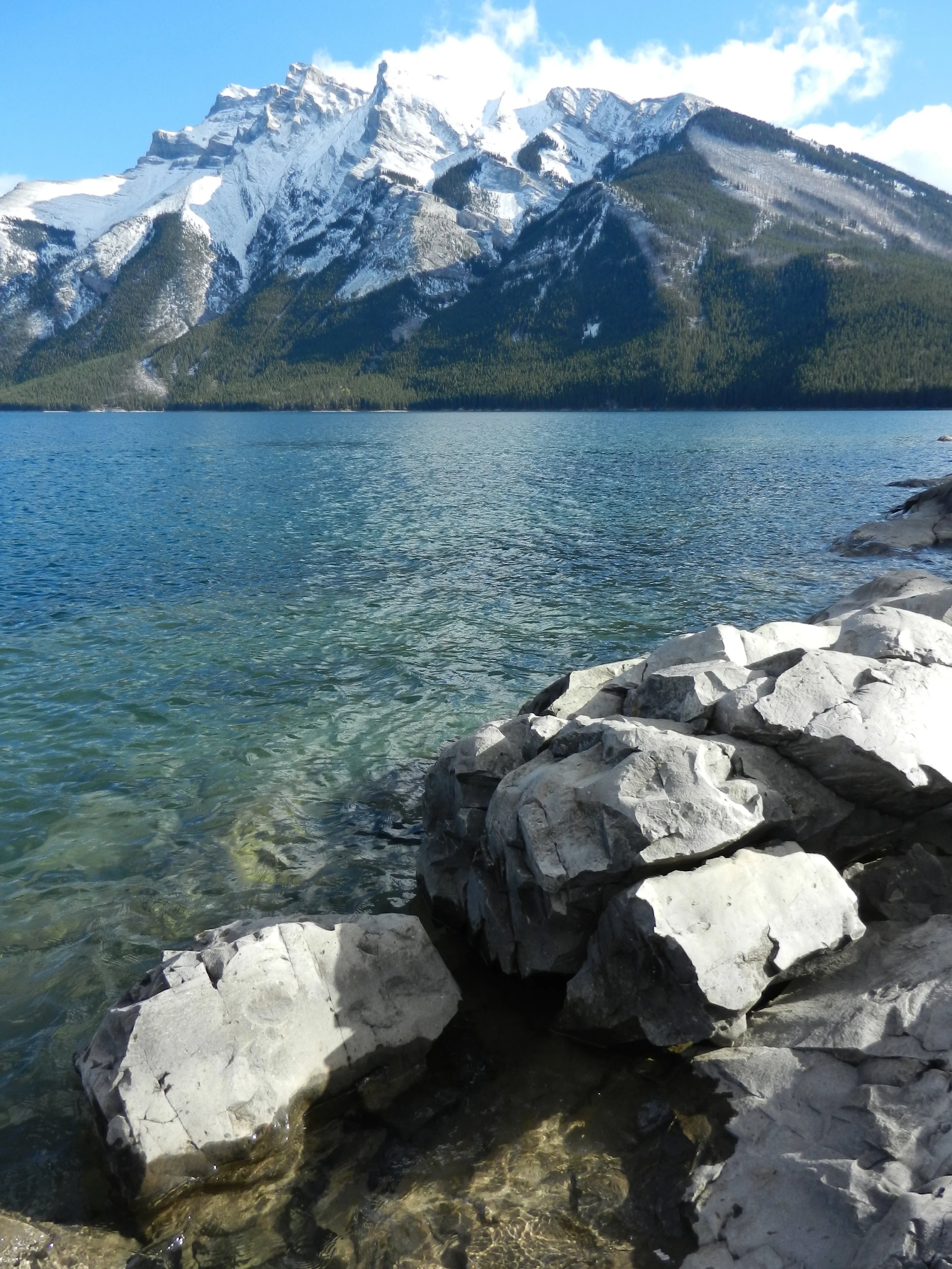 DSCN3531.jpg