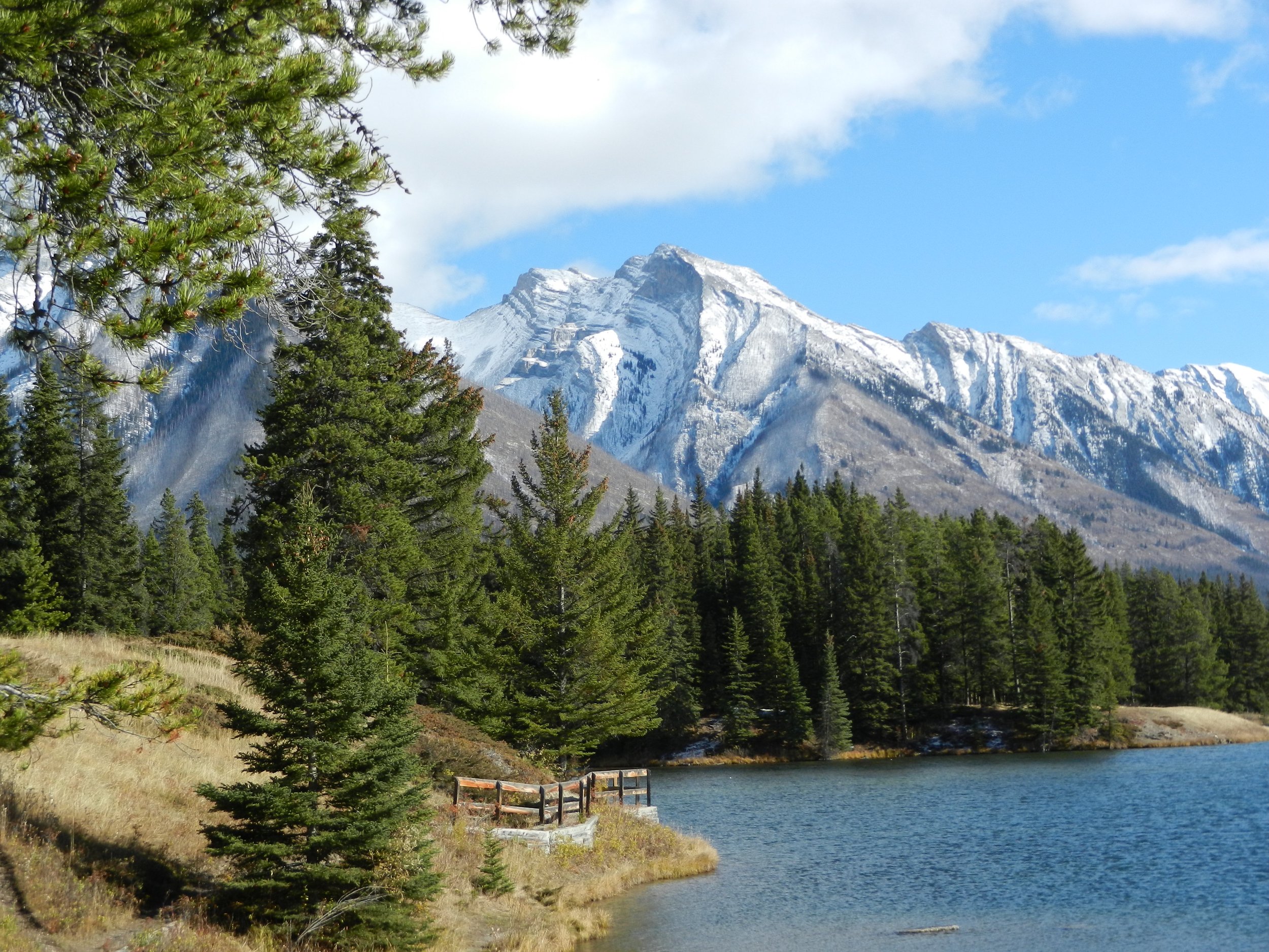 DSCN3551.jpg