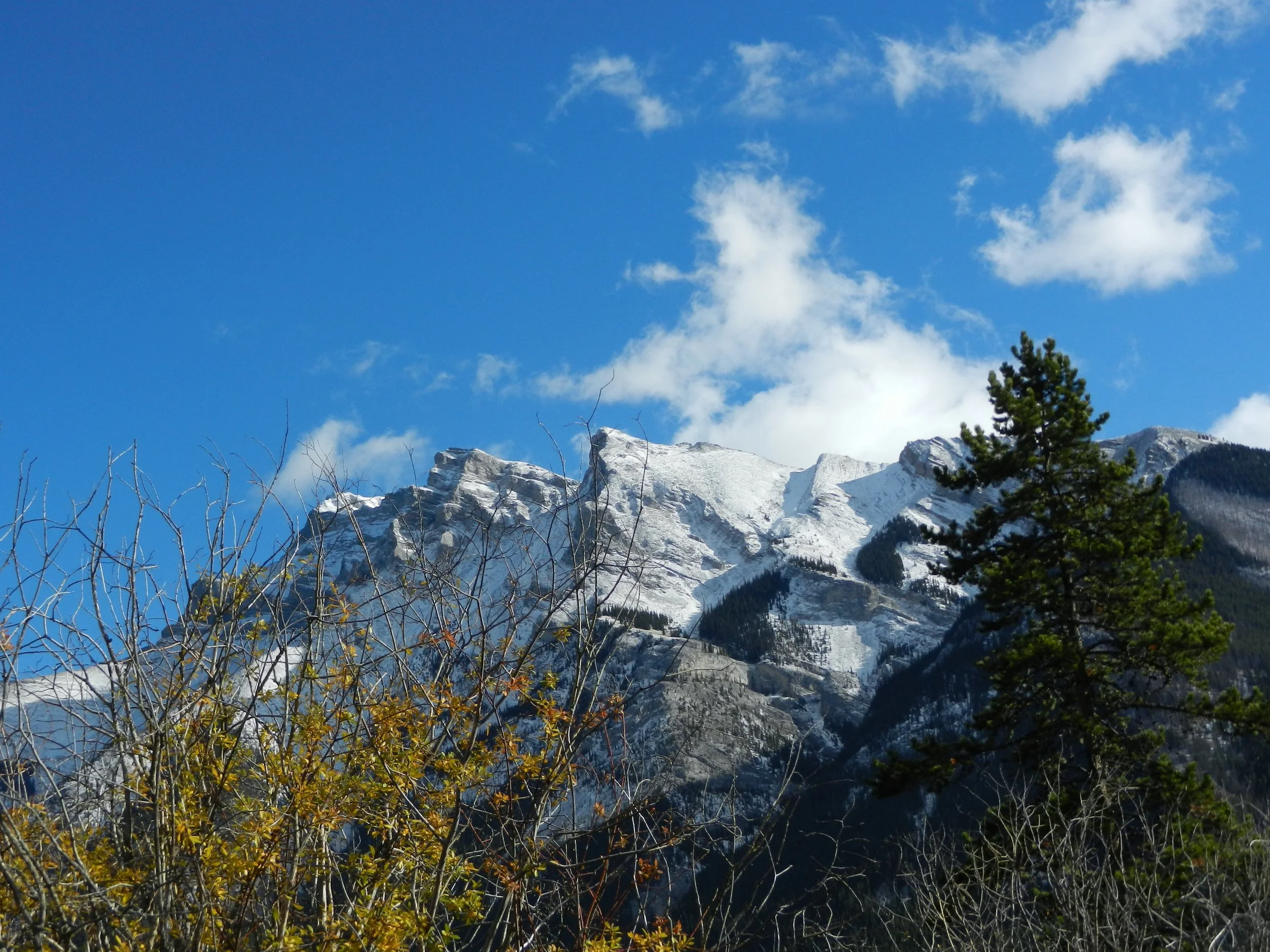 DSCN3507.jpg