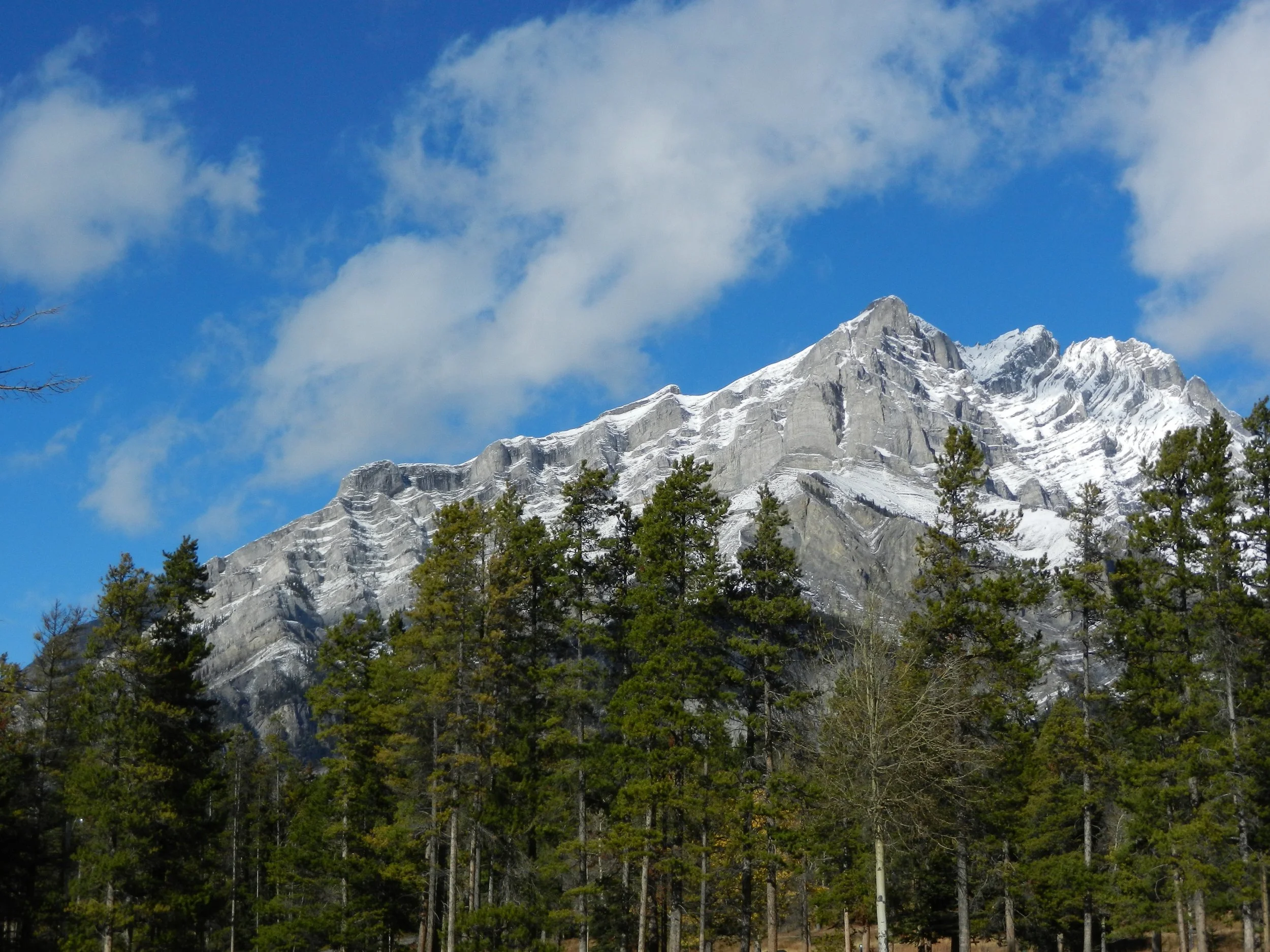 DSCN3434.jpg