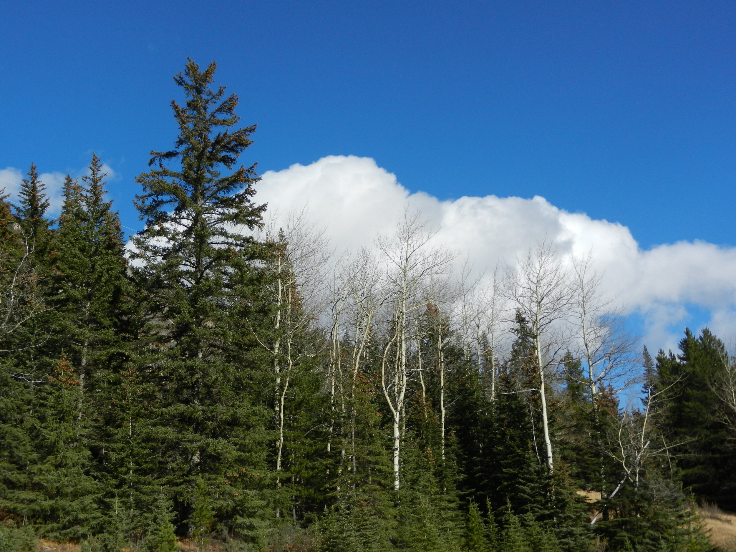 DSCN3613.jpg
