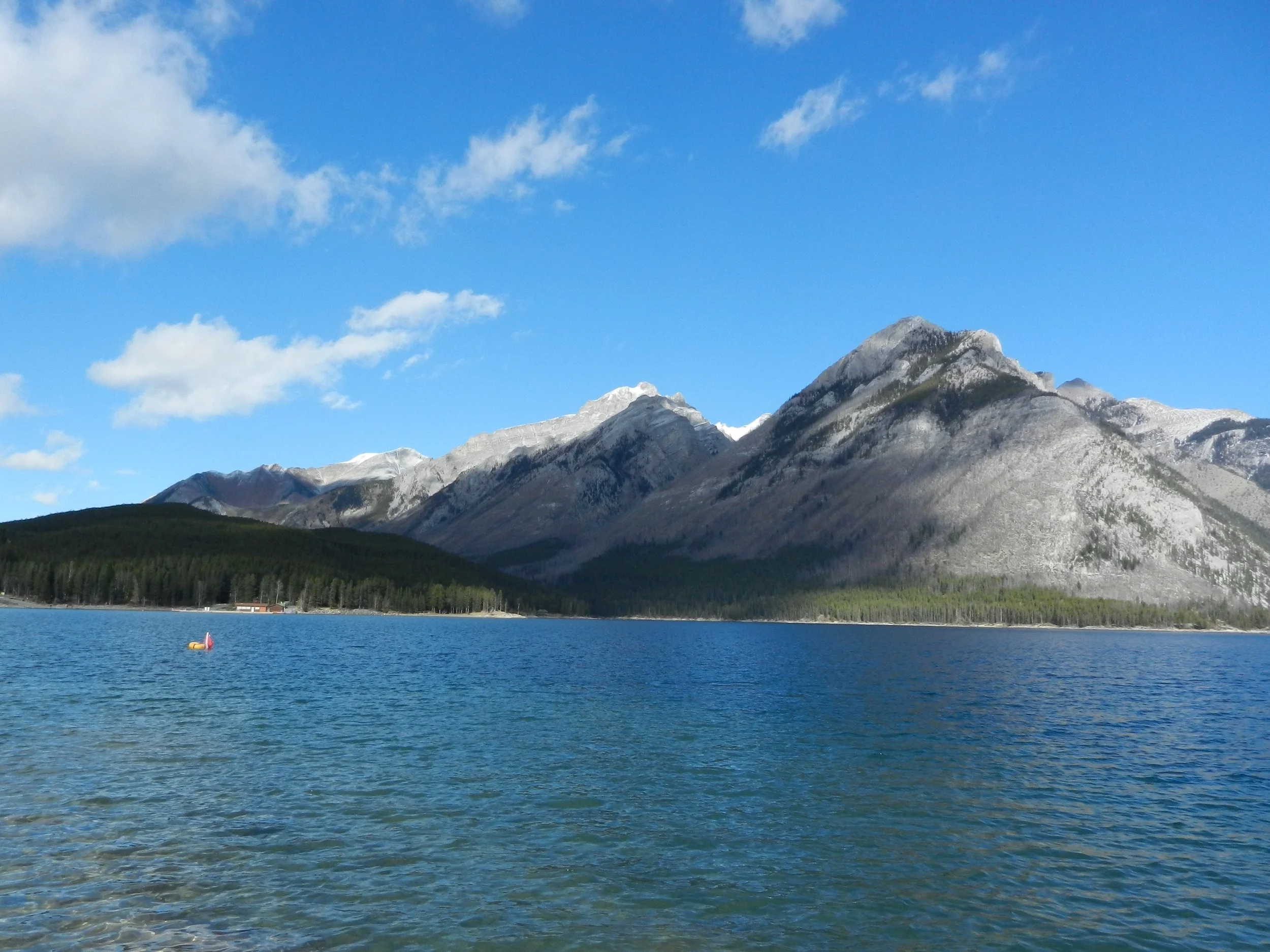 DSCN3529.jpg