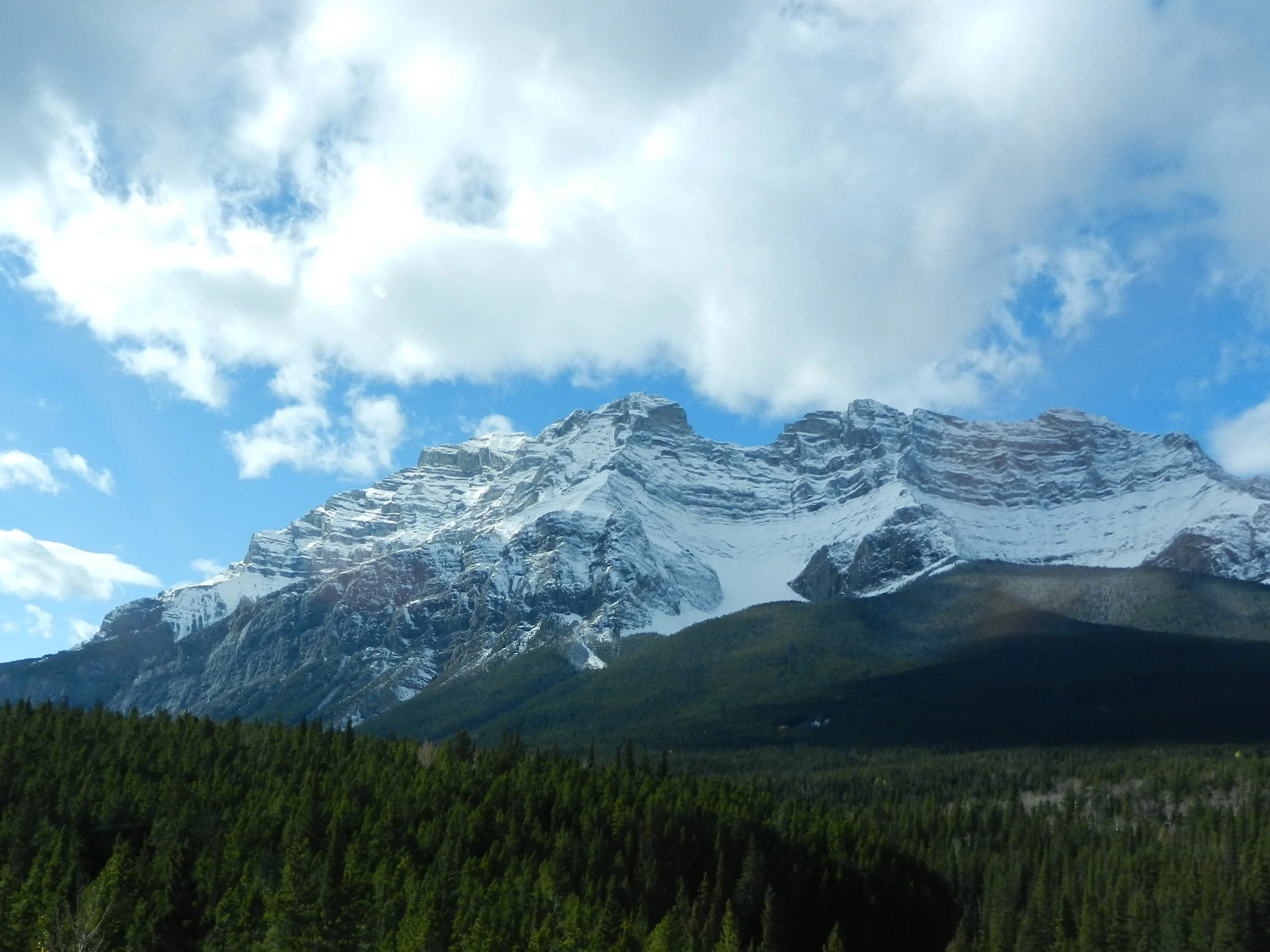 DSCN3494.jpg