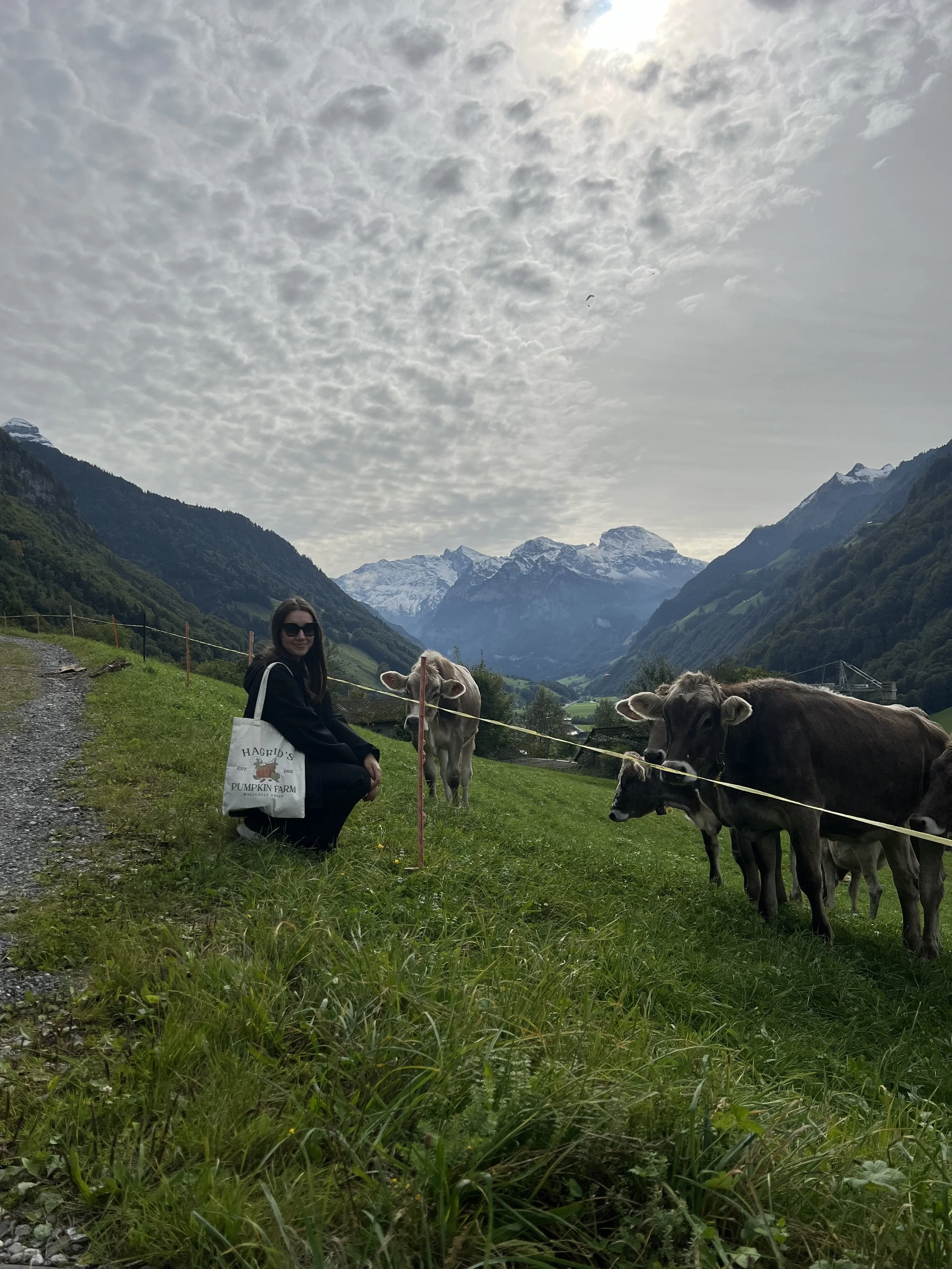 A woman with sunglasses and a tote bag sitting on the grass in a mountain valley, surrounded by cows with snow-capped peaks in the background, under a cloudy sky.