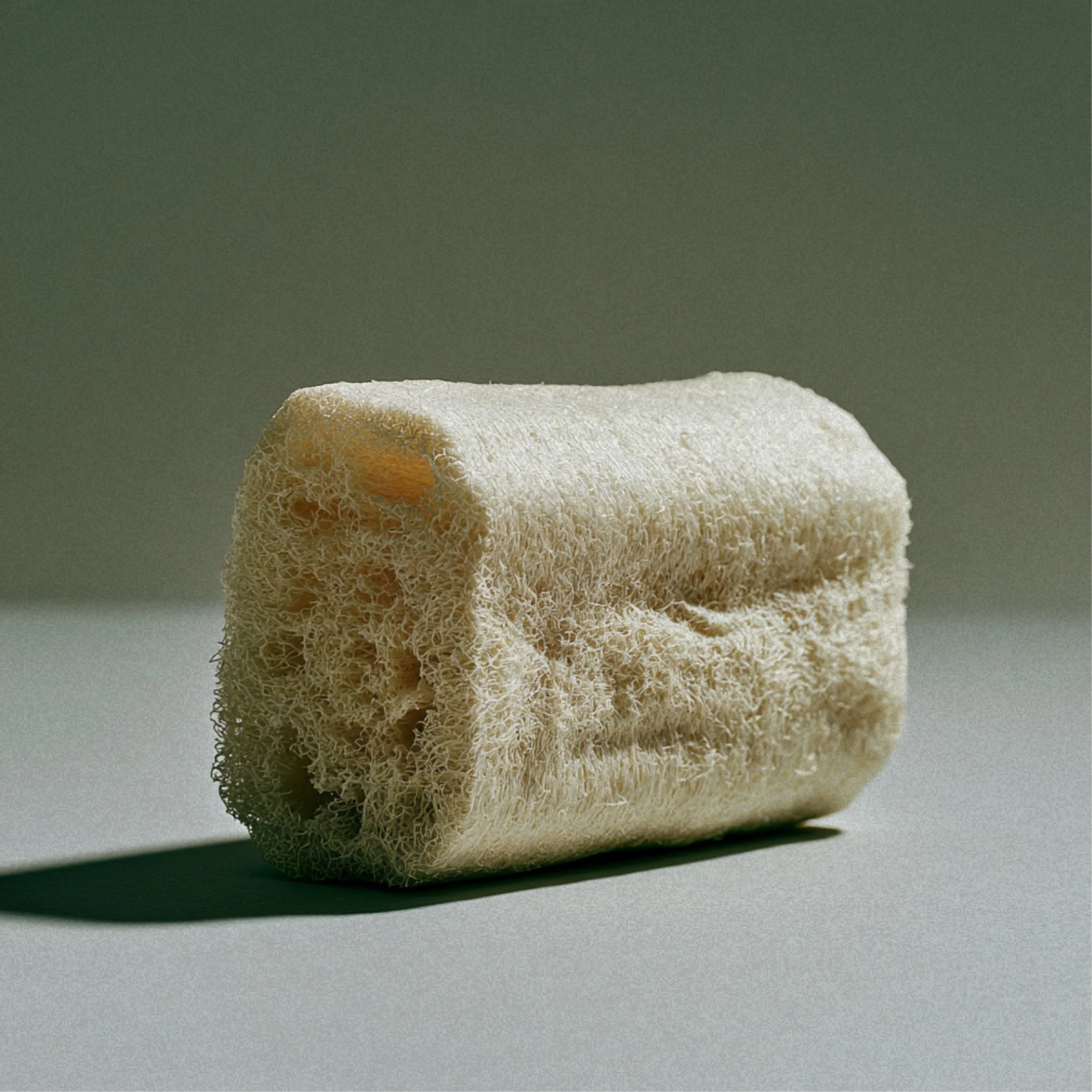 Luffa Schwamm