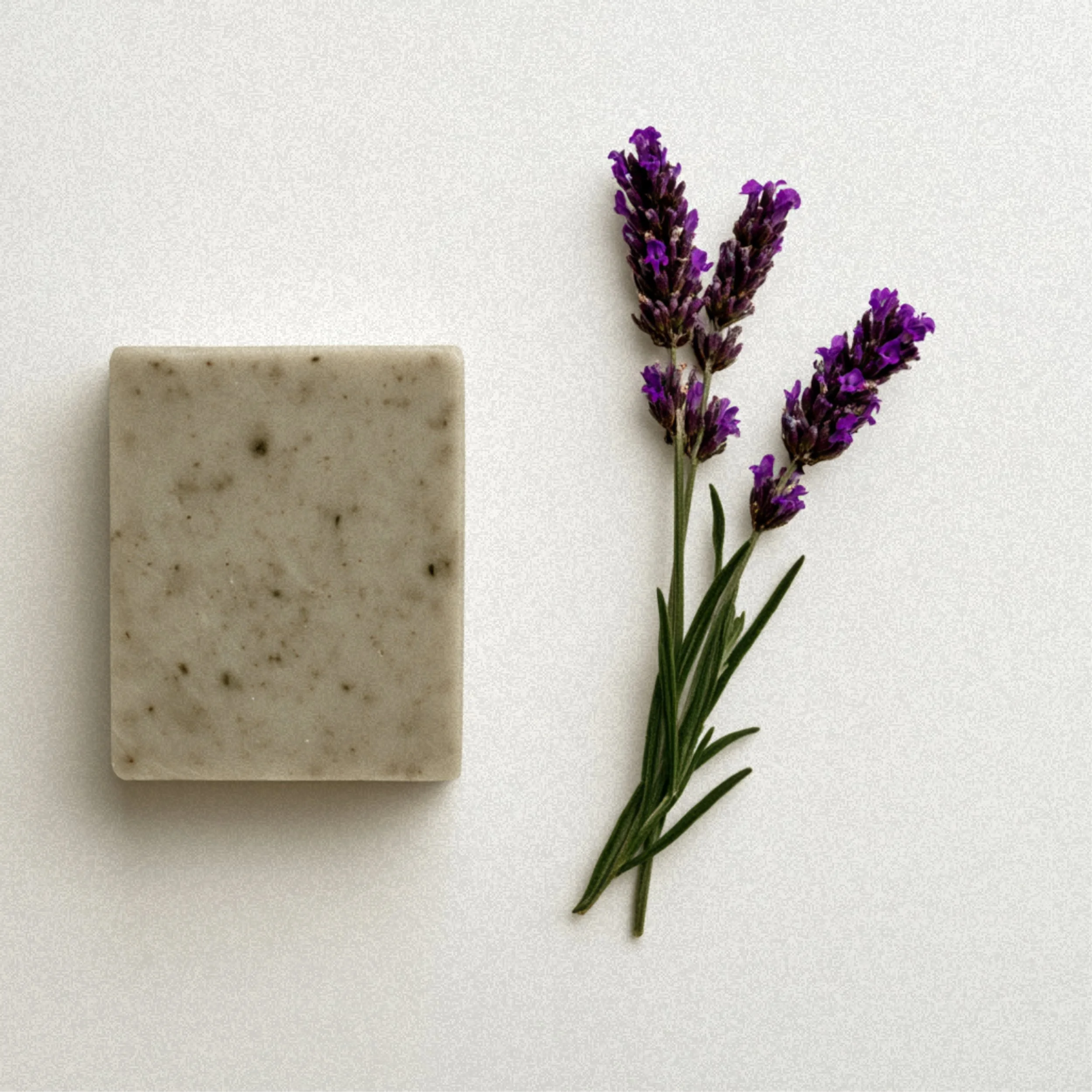 lavendel-körperseife-naturseife-seife41-friedenau-(2).jpg