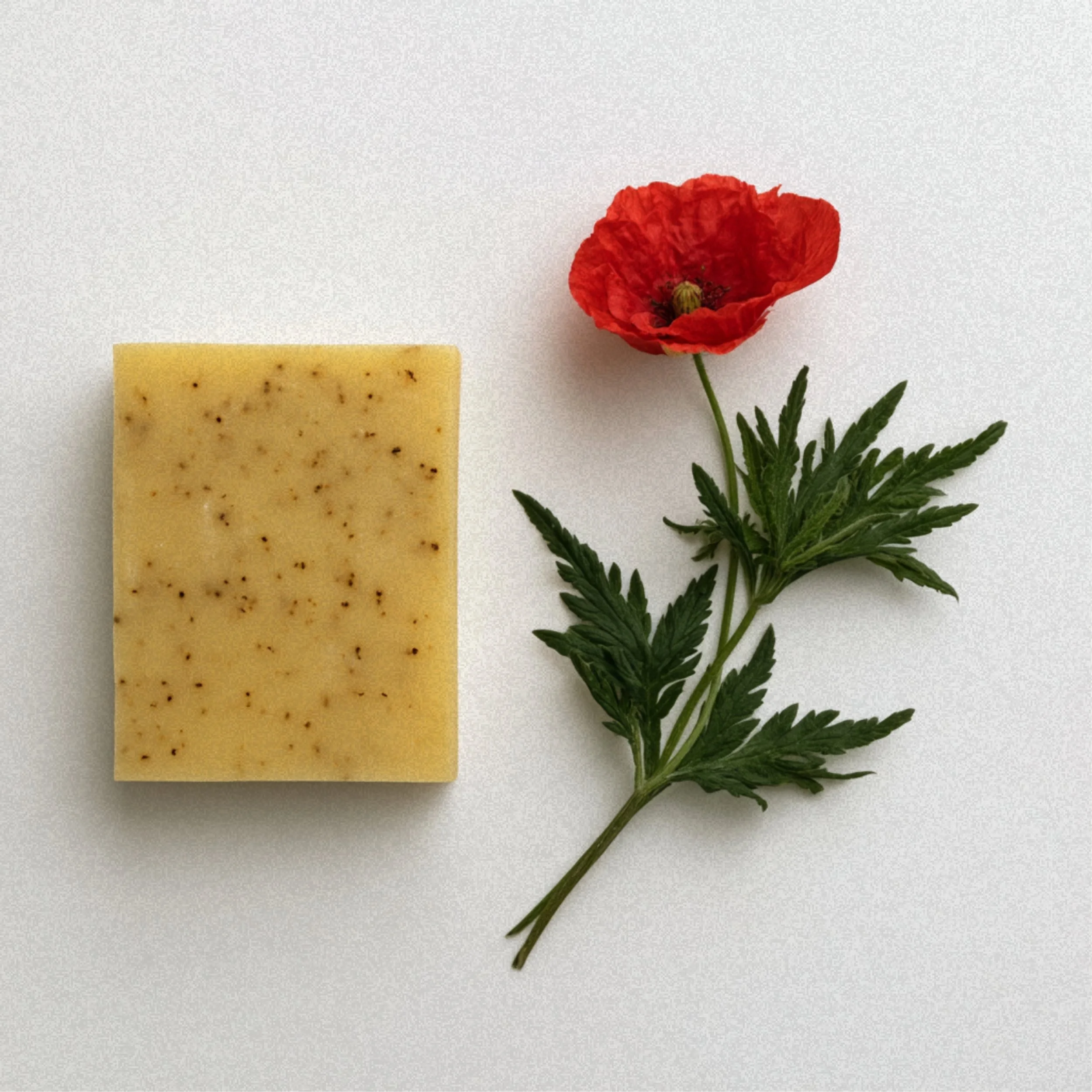 papaver-mohn-körperseife-naturseife-seife41-friedenau-(2).jpg