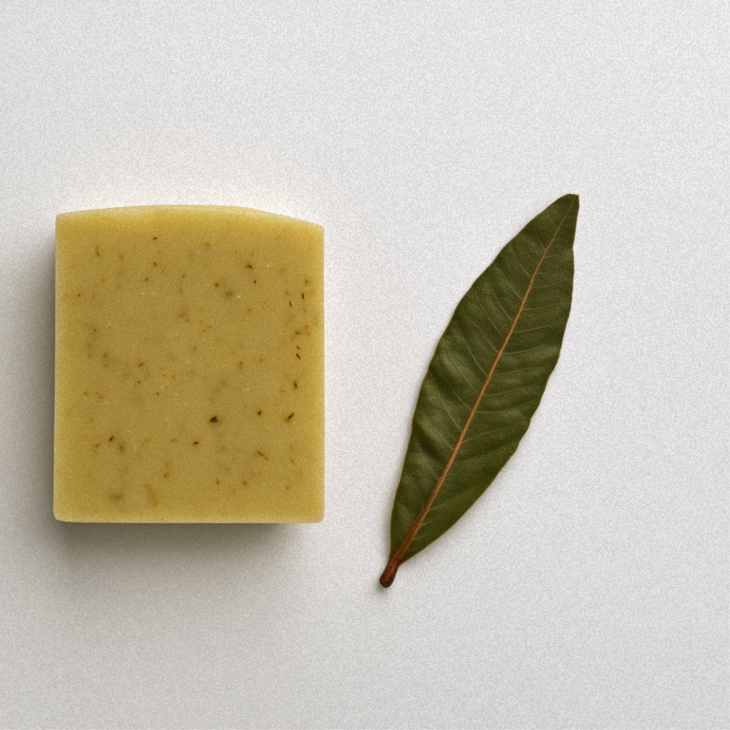 minze-körperseife-naturseife-seife41-friedenau-(2).jpg