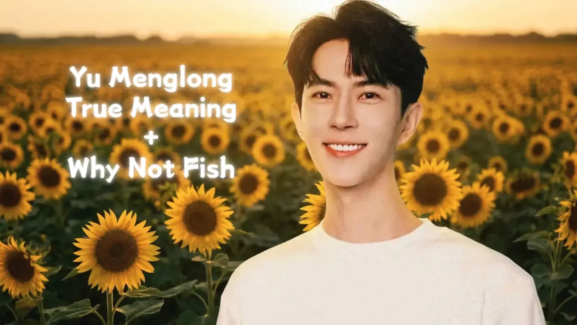 Yu Menglong True Meaning + Why Not Fish