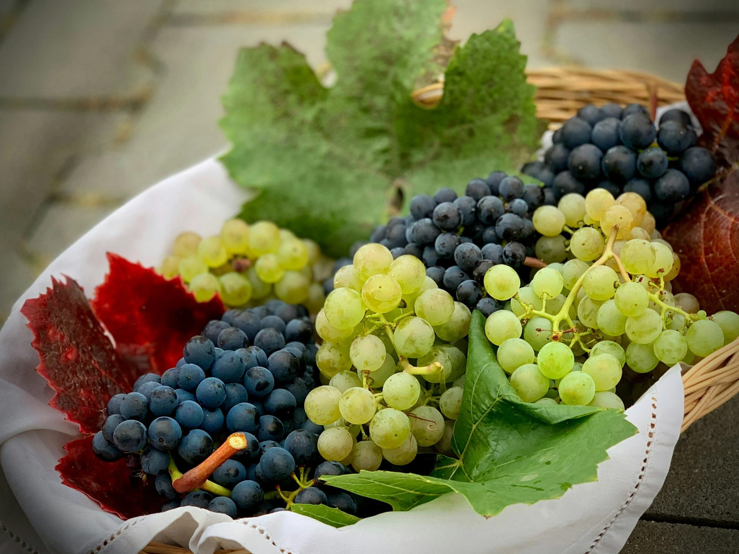 bowl of grapes