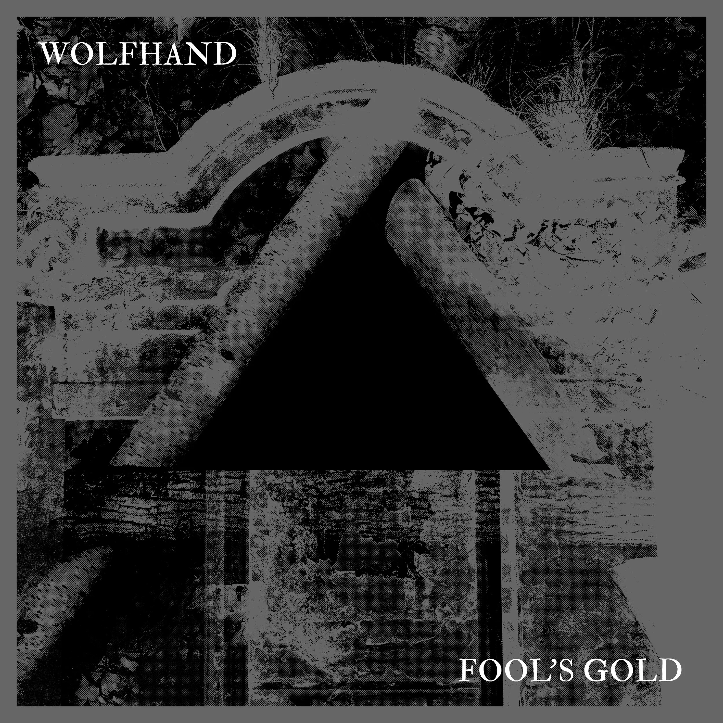 Wolfhand Fool’s Gold Cover.jpg
