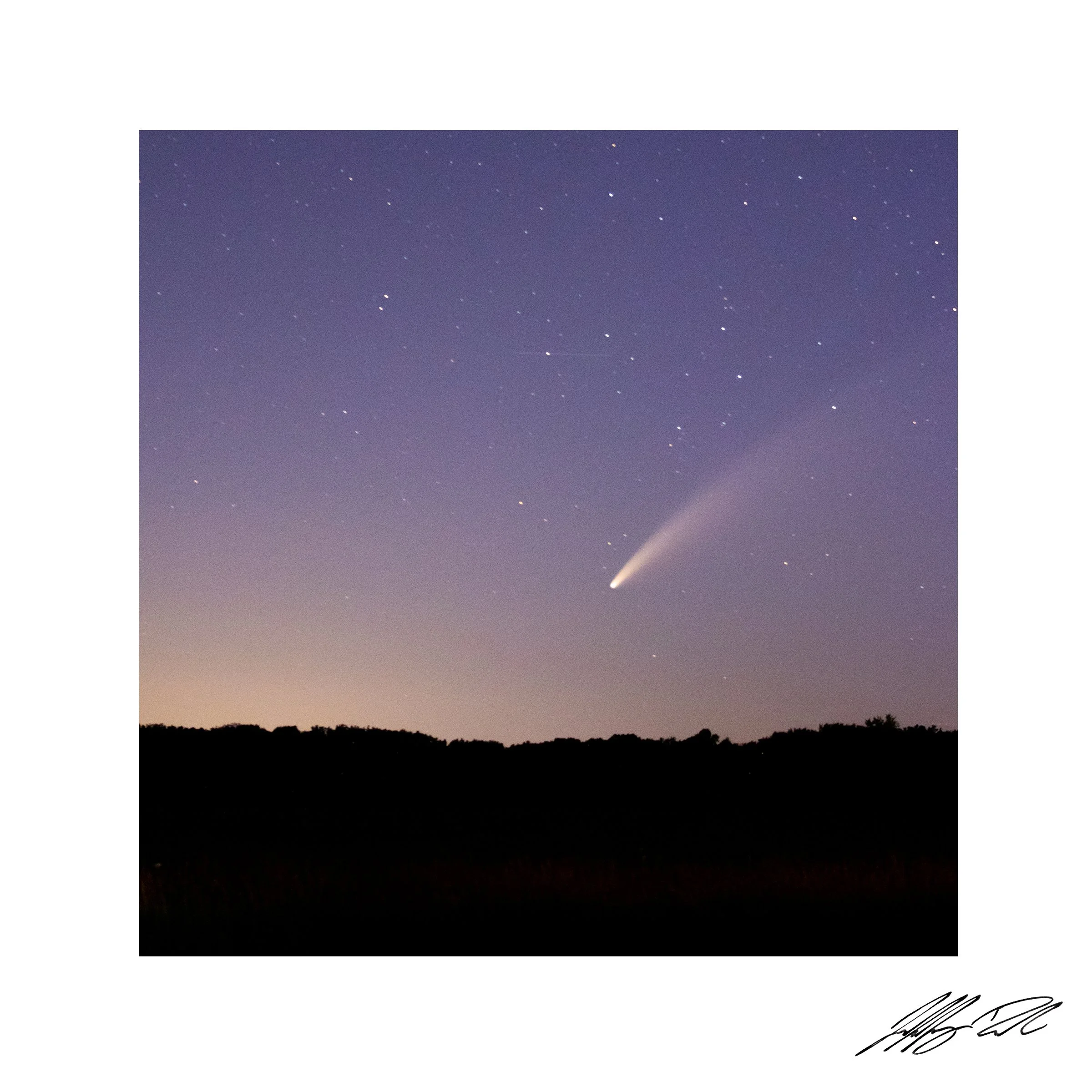 Neowise Comet