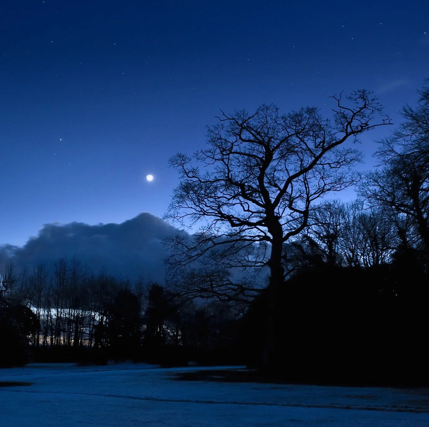 Nighttime scene of a leafless tree silhouette against a dark blue sky with the moon and stars, some clouds and distant trees at Parnacott house.