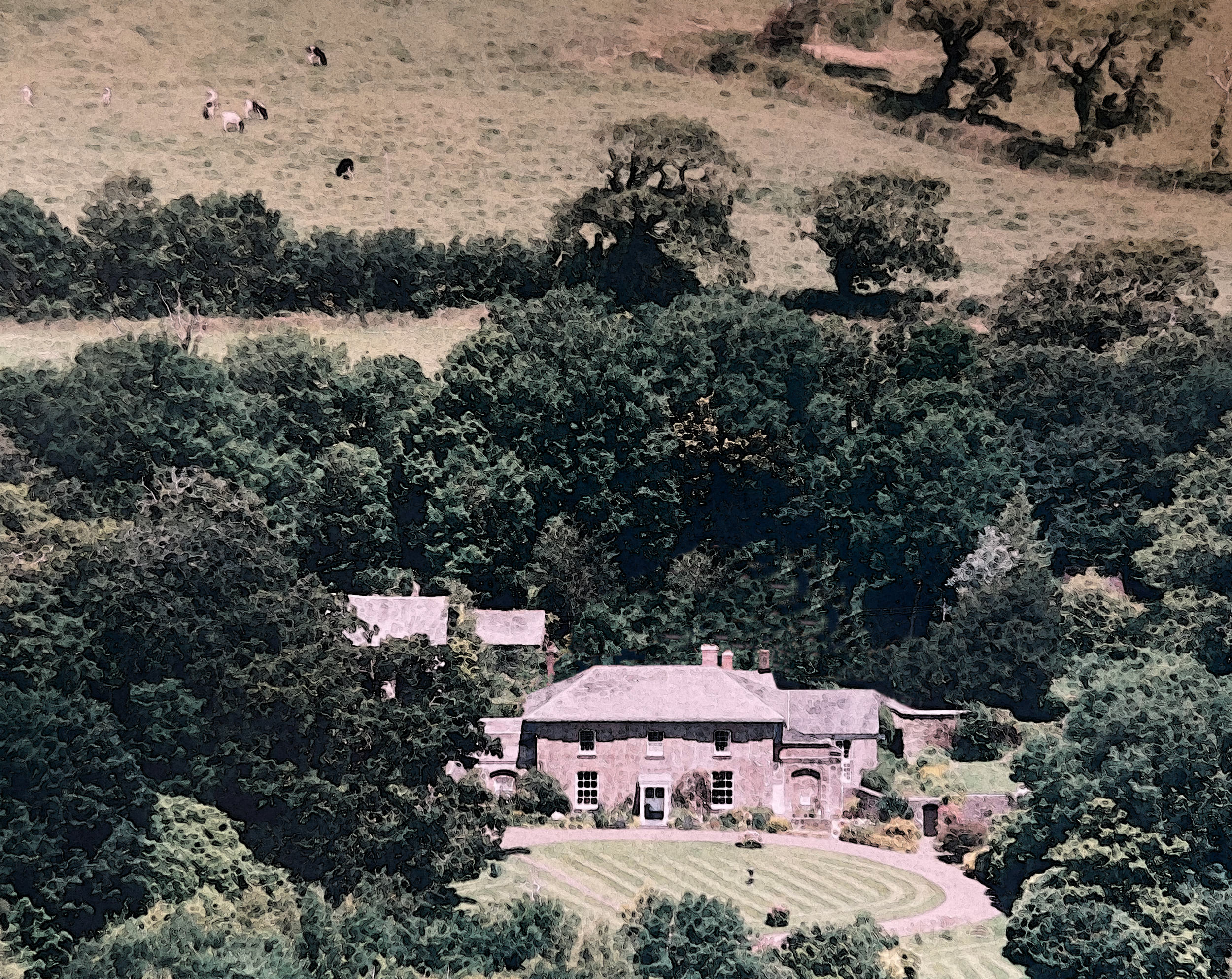 A house with a large front lawn, surrounded by trees and bushes, with a curved driveway leading to the house in a rural or suburban setting at Parnacott house.
