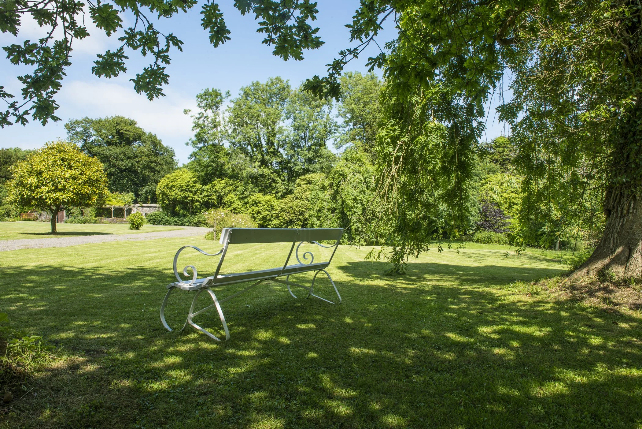 A park with green grass, various trees, and a blue sky. There is a white metal bench in the foreground and shadows cast by tree branches at Parnacott house.