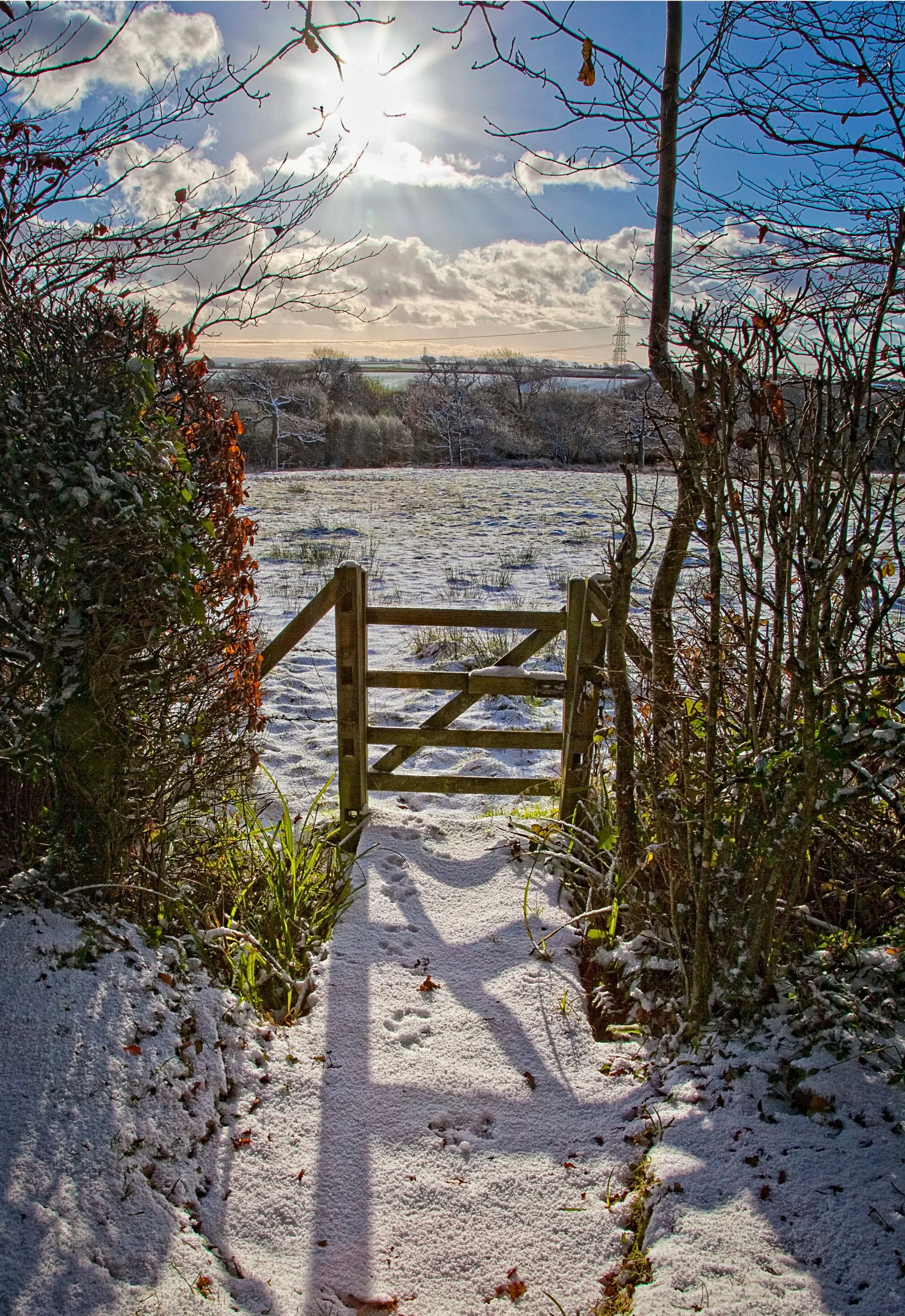 A snow-covered garden view with a wooden gate in the foreground and an open field, trees, and a cloudy sky with the sun in the background at Parnacott house.