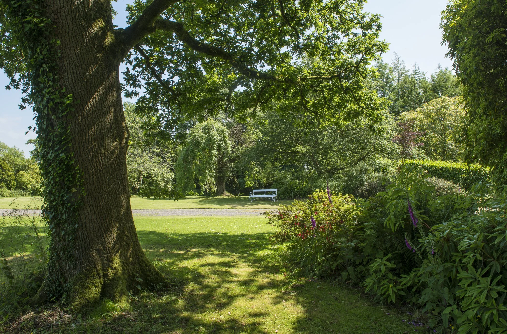 A lush park scene with a large tree in the foreground, vibrant green grass, flowering bushes, and a white bench in the background under a clear blue sky at Parnacott house.