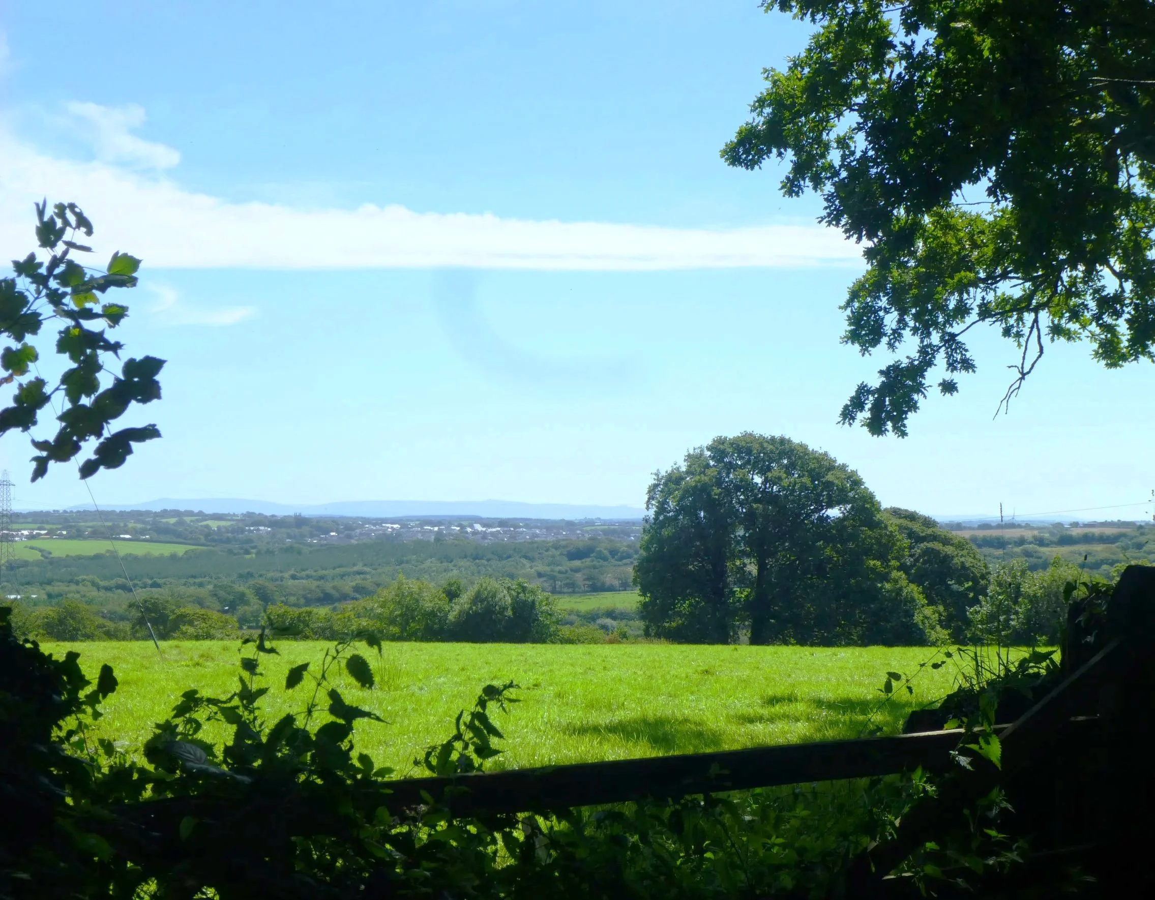 View of a countryside landscape with green grass in the foreground, trees along the middle ground, and hills with scattered buildings in the background. The sky is blue with some clouds, and the image is framed by tree branches and leaves.