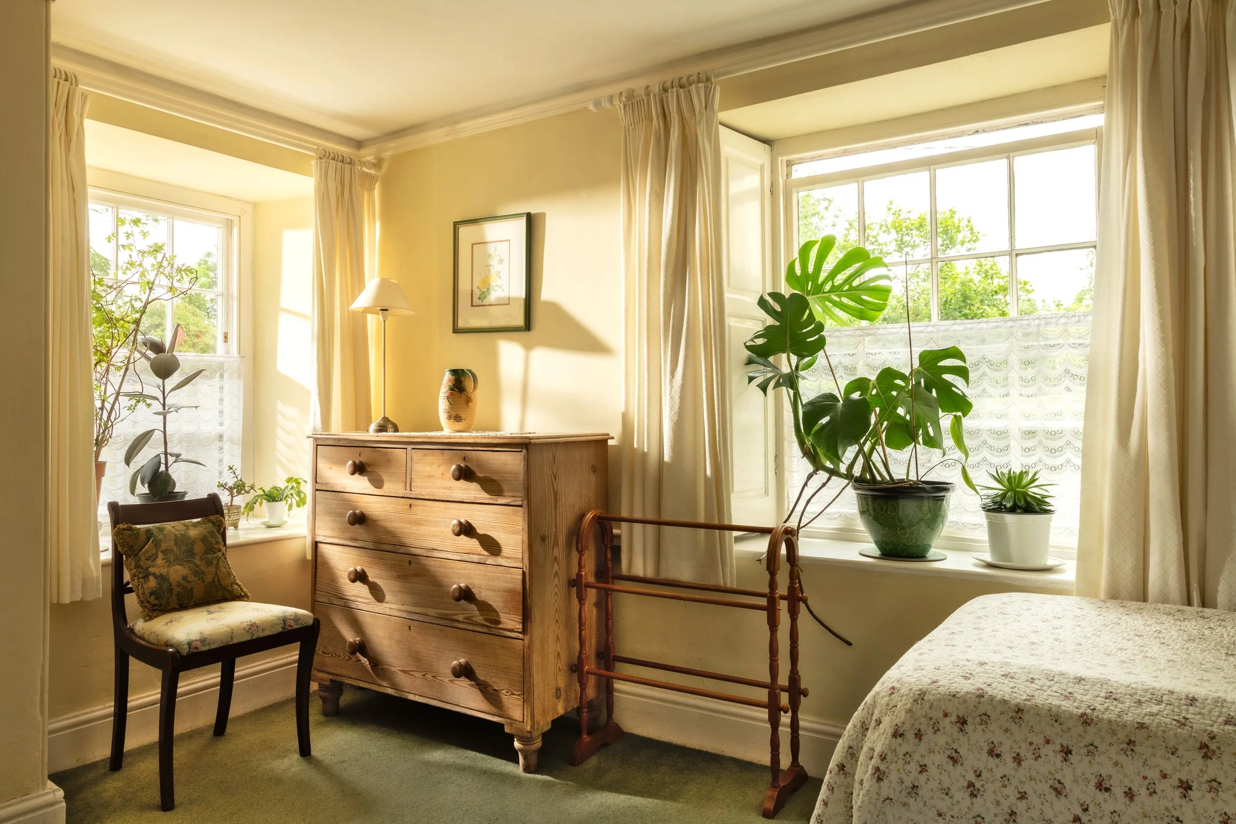 Sunlit cozy bedroom with yellow walls and large window, decorated with potted plants and framed artwork at Parnacott house. 