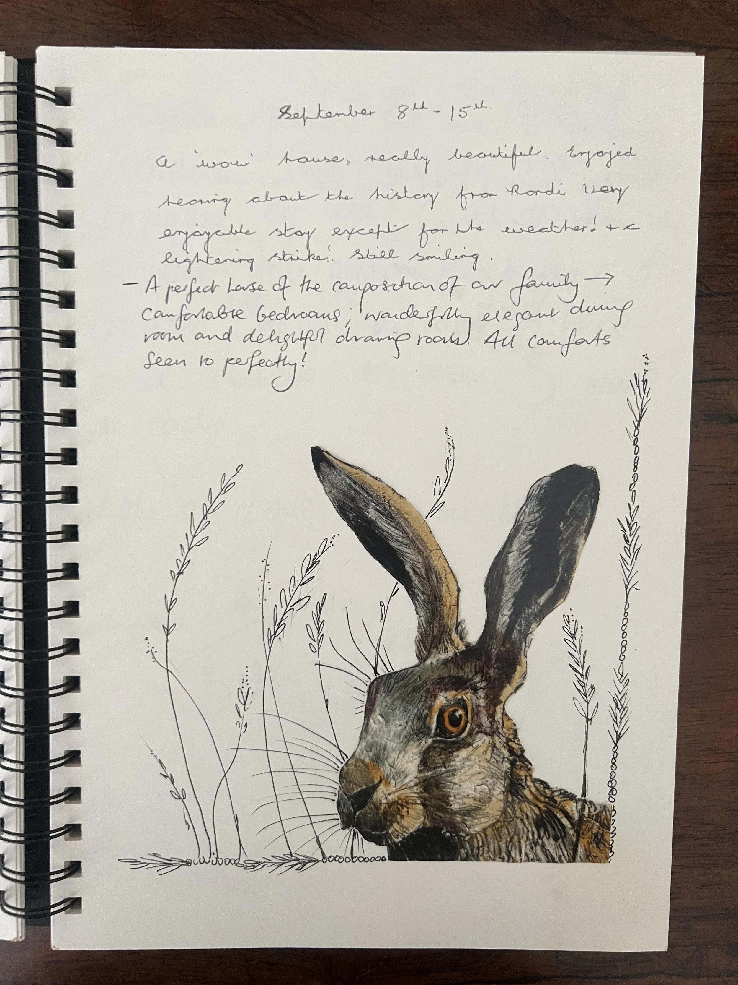 A notebook page with handwritten notes and a colored illustration of a hare surrounded by grass and plants at Parnacott house.