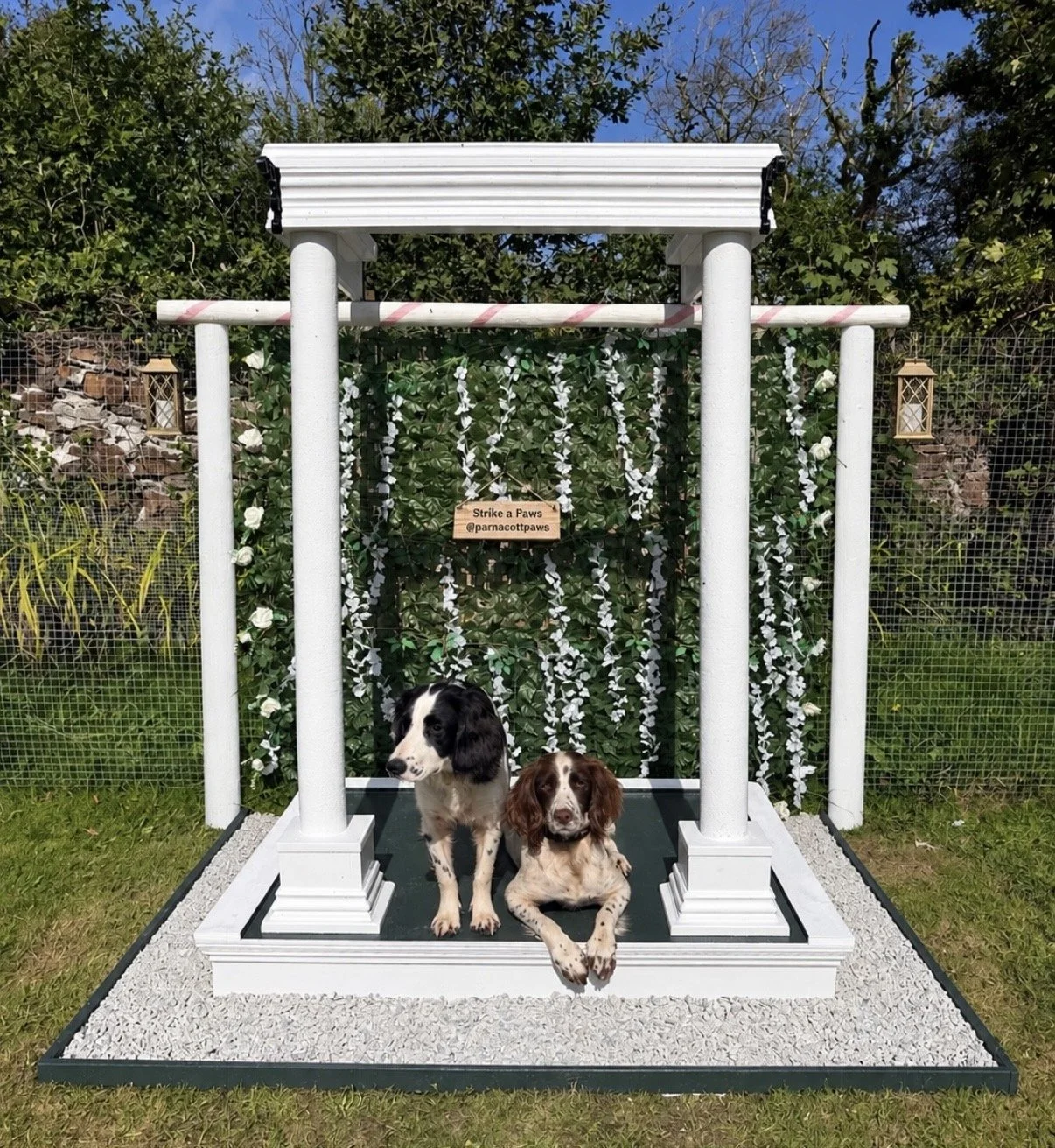 Two dogs sitting together in front of a decorative white and black structure resembling a small Greek temple, with a backdrop of green leafy plants and white flowers, and a small wooden sign that says "Strike a Paws" with the Instagram handle @parnocottpaws.
