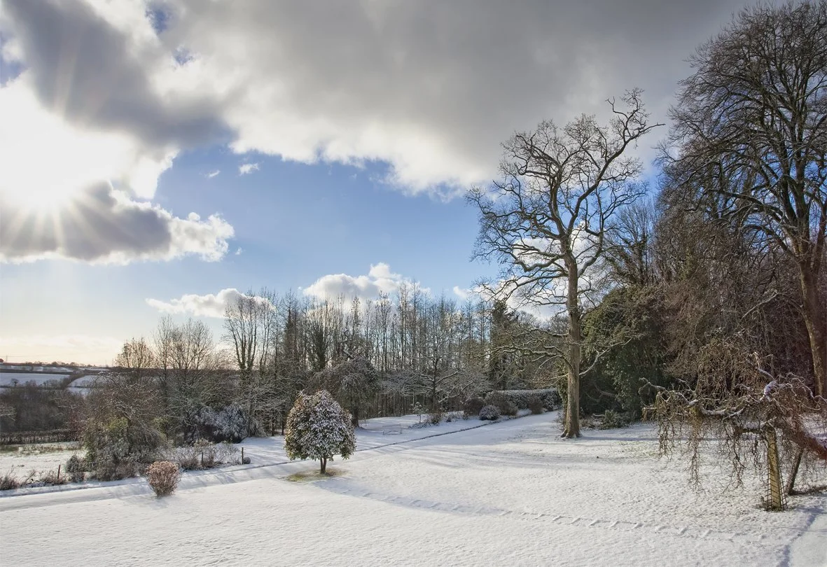 A winter landscape with snow-covered ground, leafless trees, and a partly cloudy sky with the sun shining through the clouds at Parnacott house.