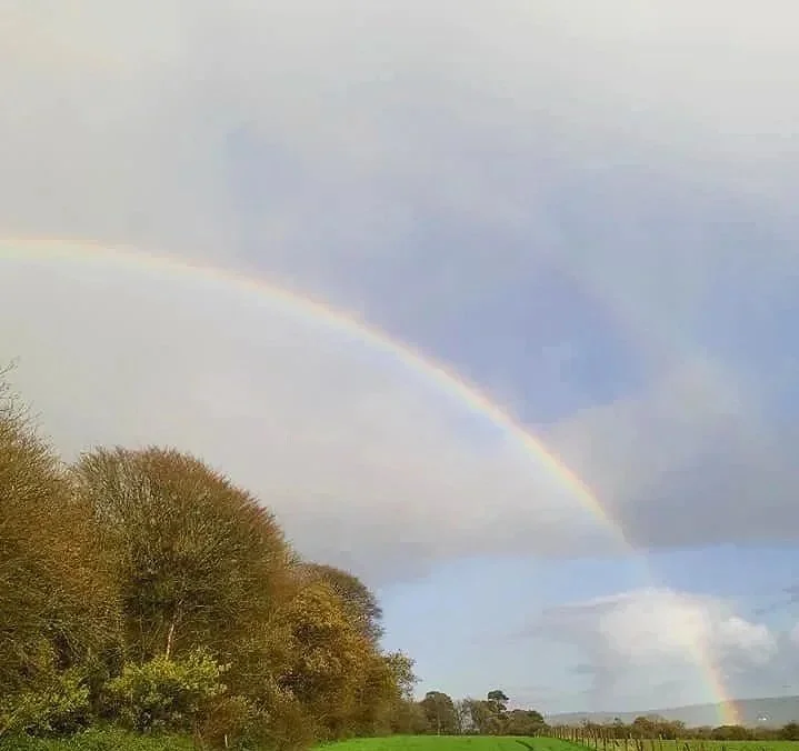 A rainbow arching over a landscape with trees and a cloudy sky at Parnacott house.
