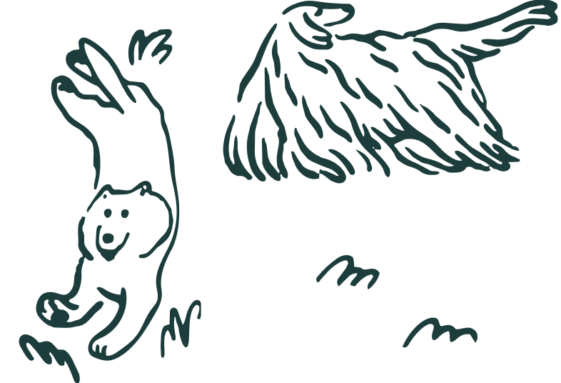 A line drawing of a dogs playing on grass.
