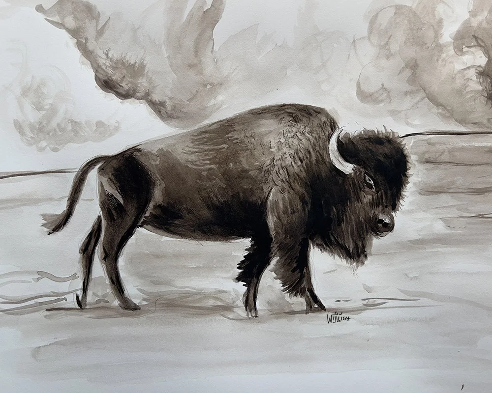 BUFFALO.jpg