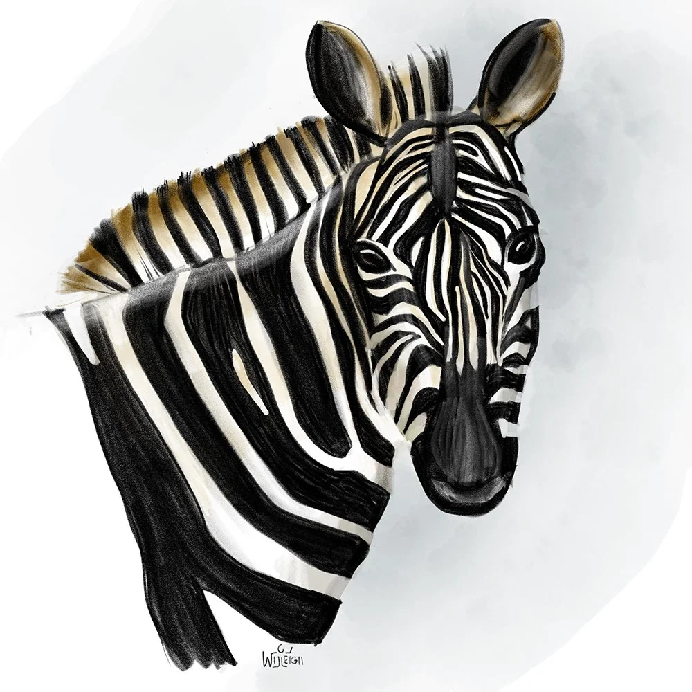 ZEBRA LOWRES.jpg