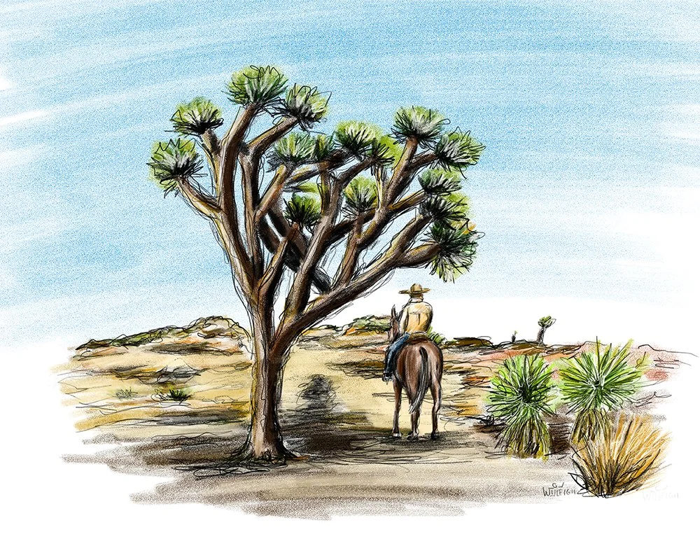 JOSHUA TREE LOW RES.jpg