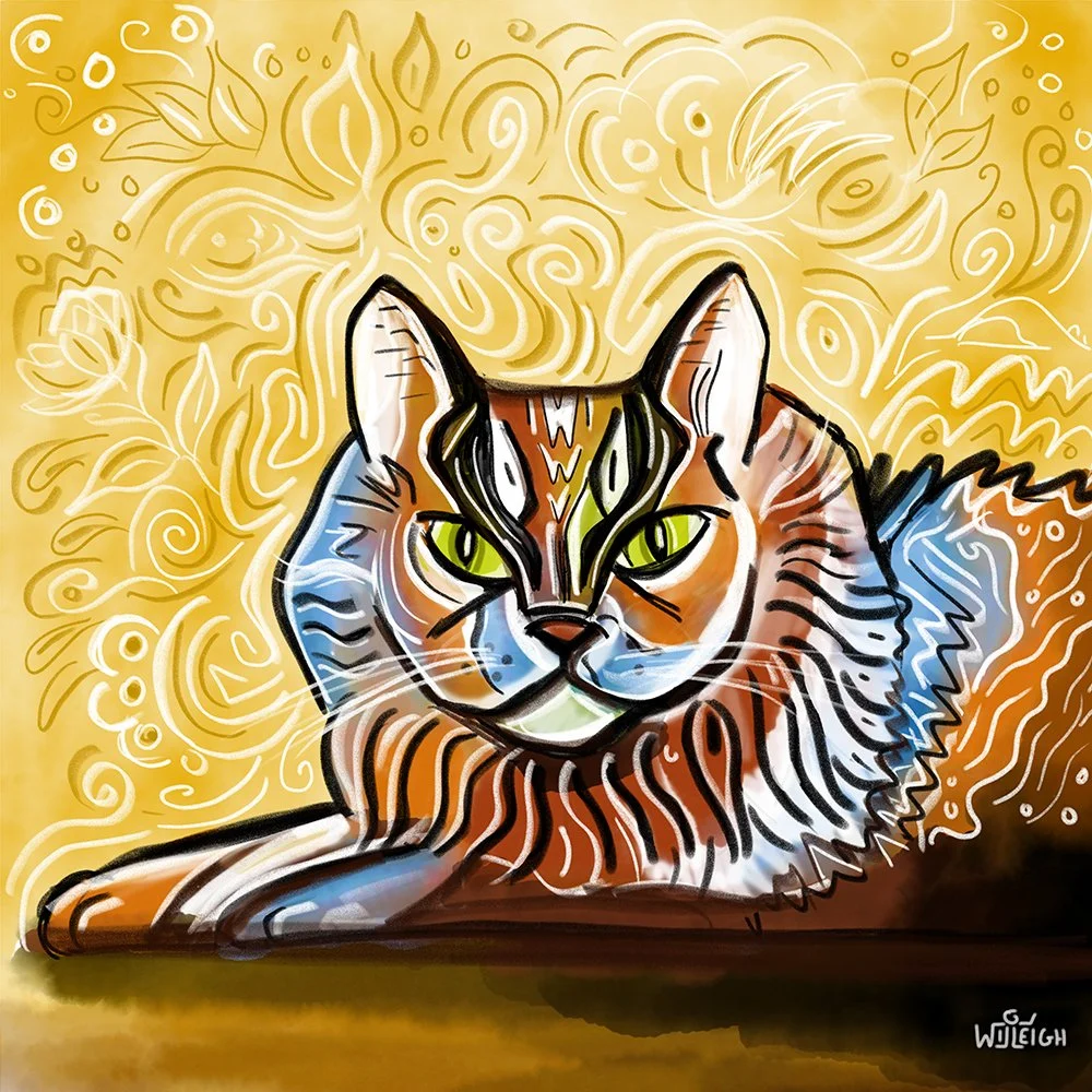 COLORFUL CAT SQUARE.jpg