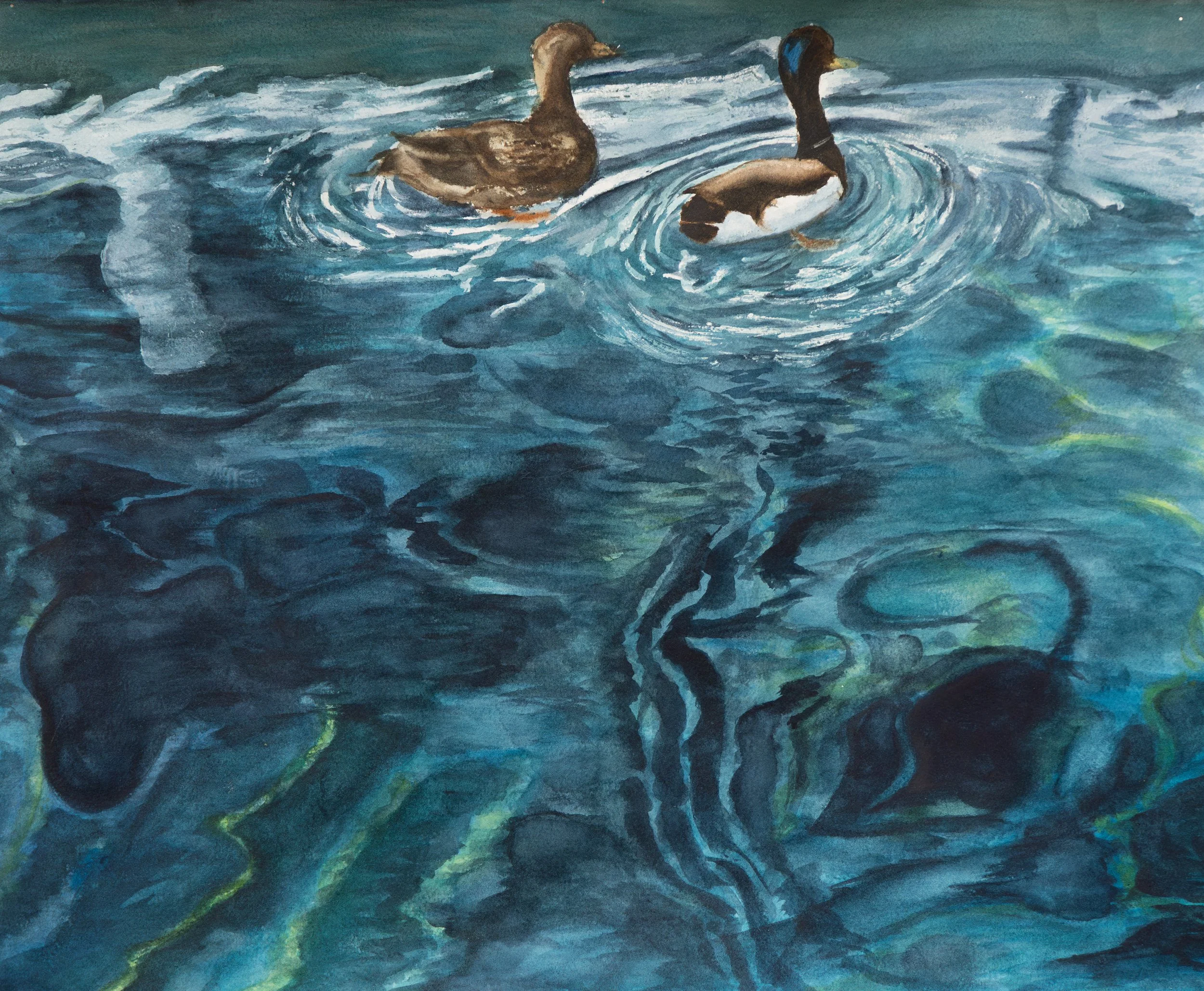 Ducks in a Row, Watercolor on paper