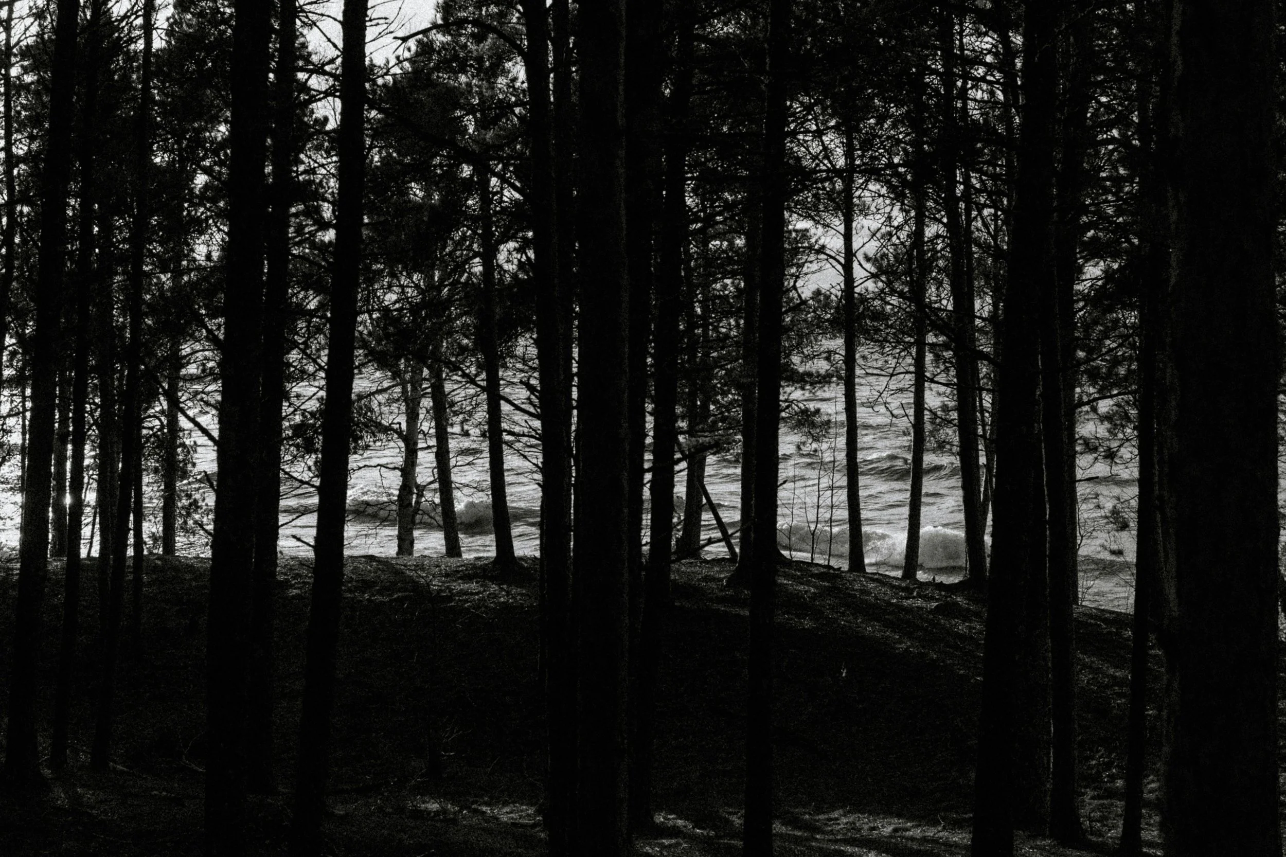 Ghost Stories from the Northwoods