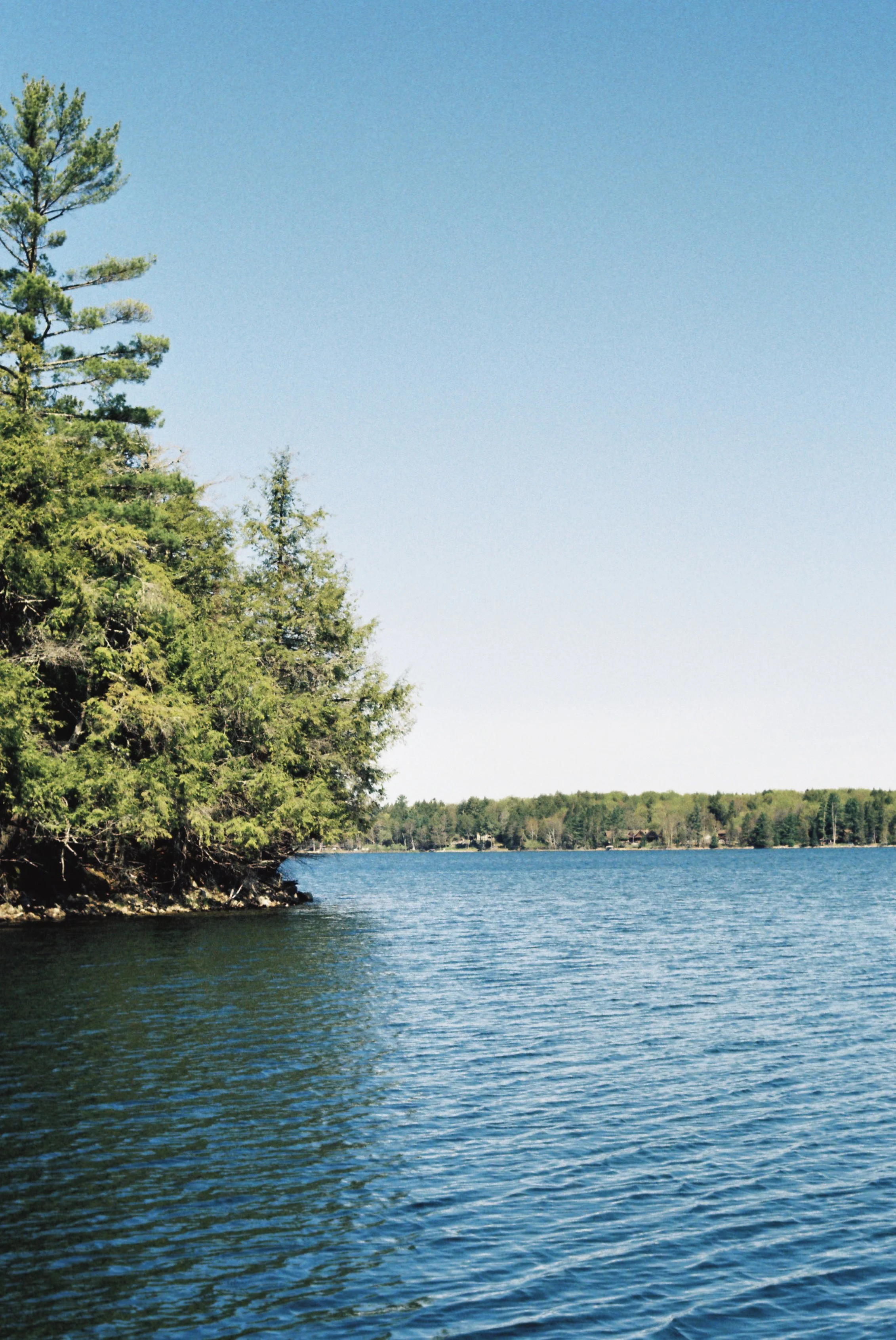 A peaceful lakeside scene with lush green trees on the left and a calm body of water, with a distant tree-lined shoreline under a clear blue sky.