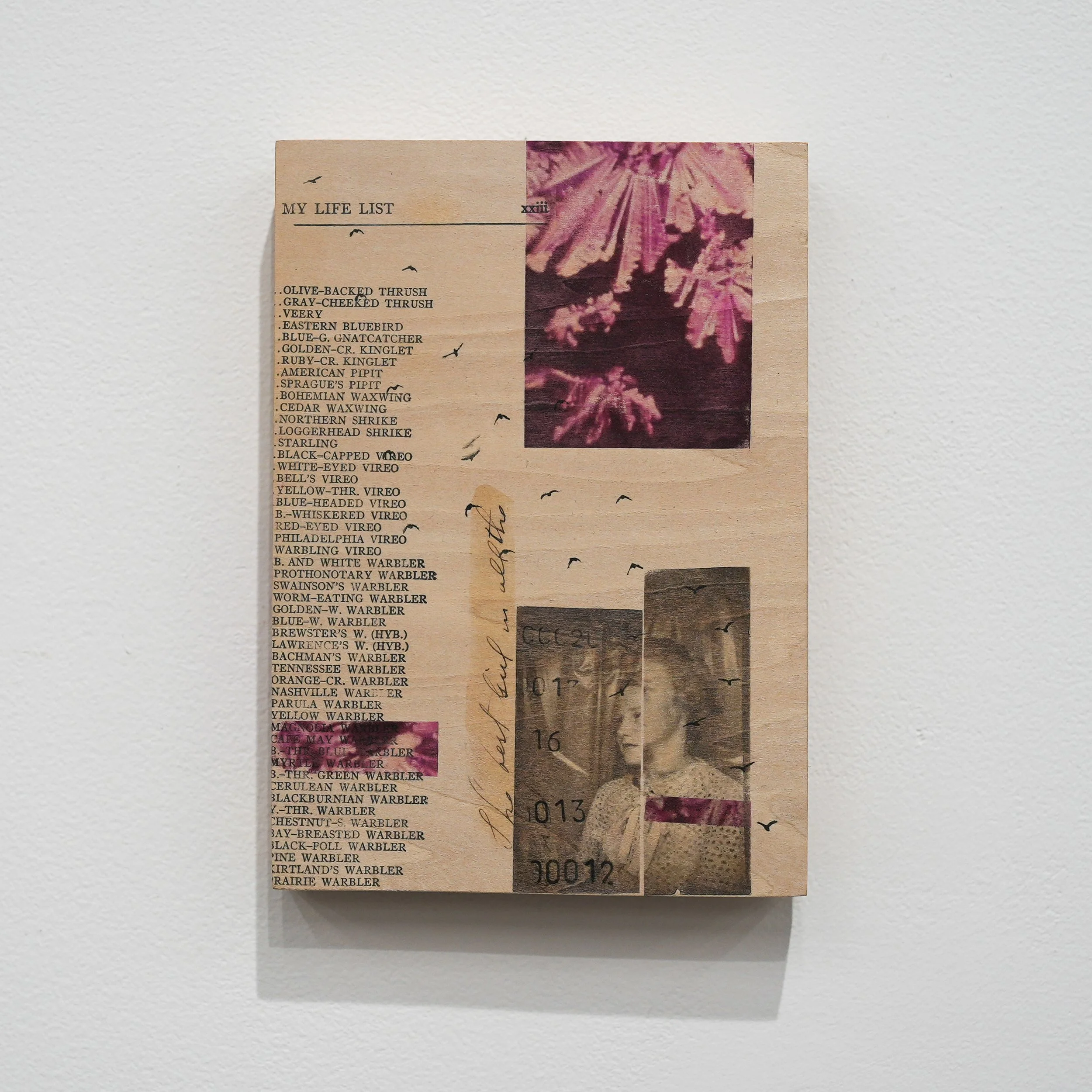 j_poteat-153.jpg