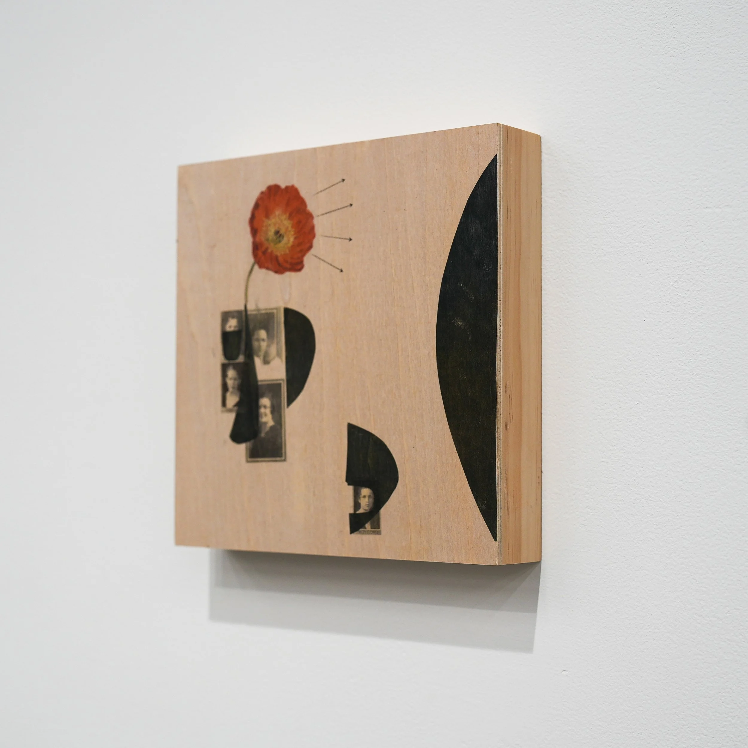 j_poteat-10.jpg