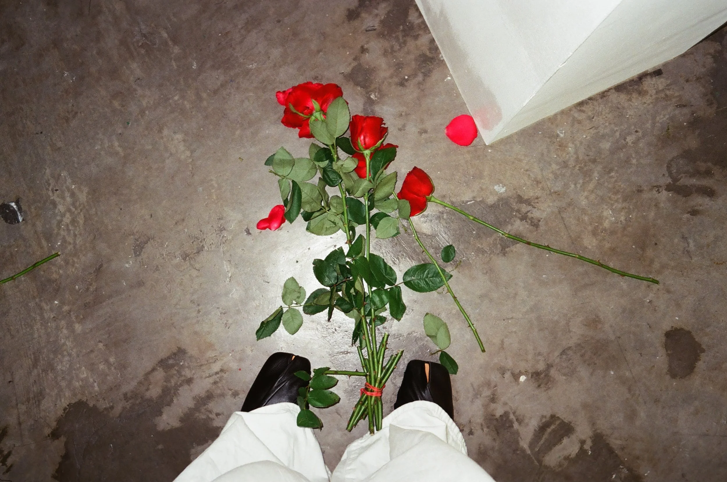 roses art gallery