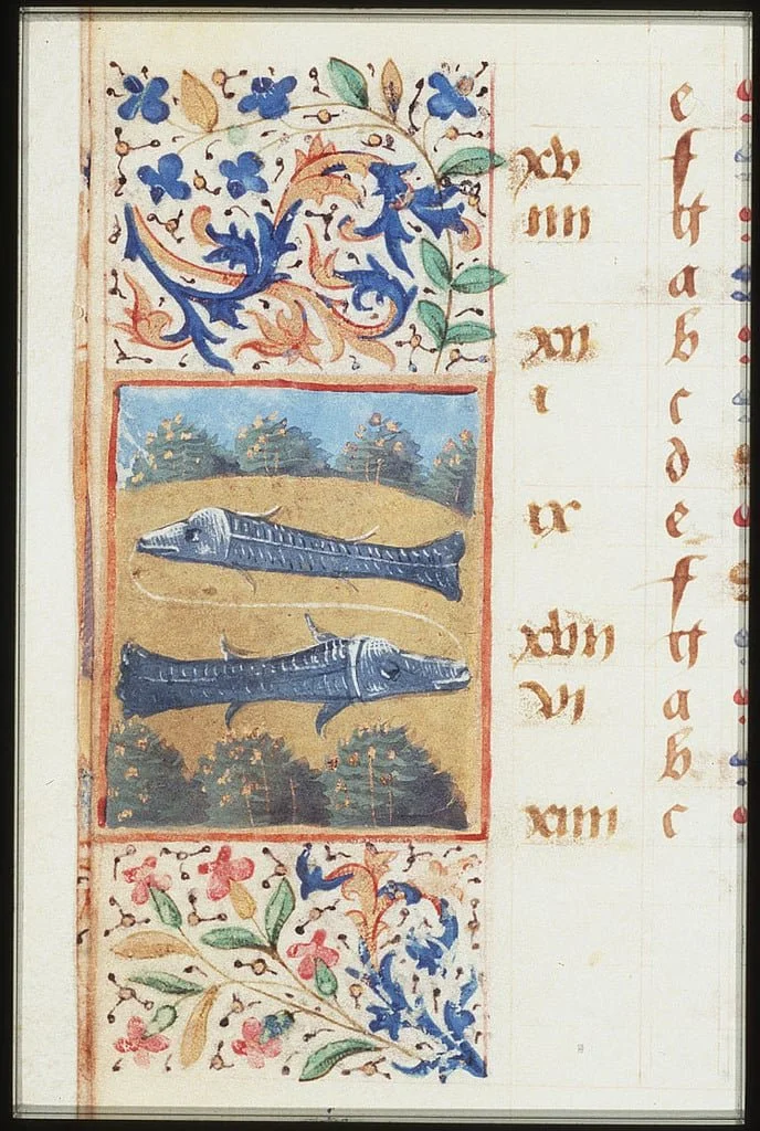 guidance