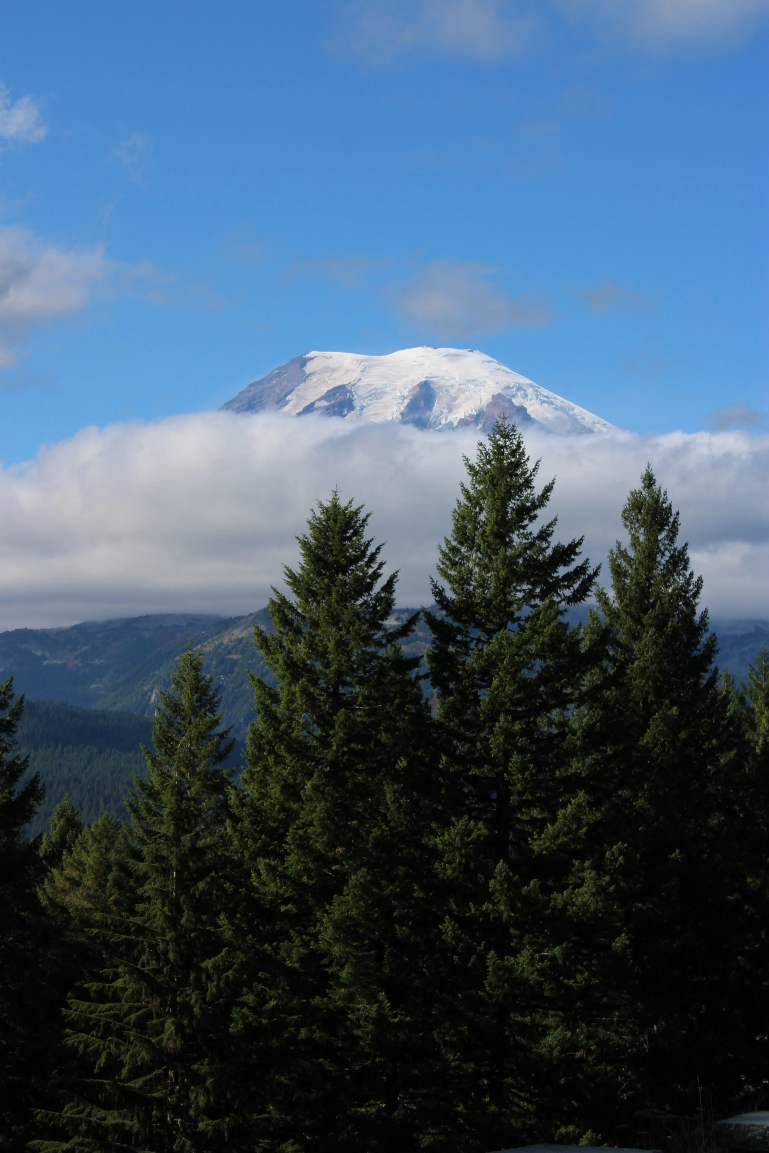 IMG_1625.JPG
