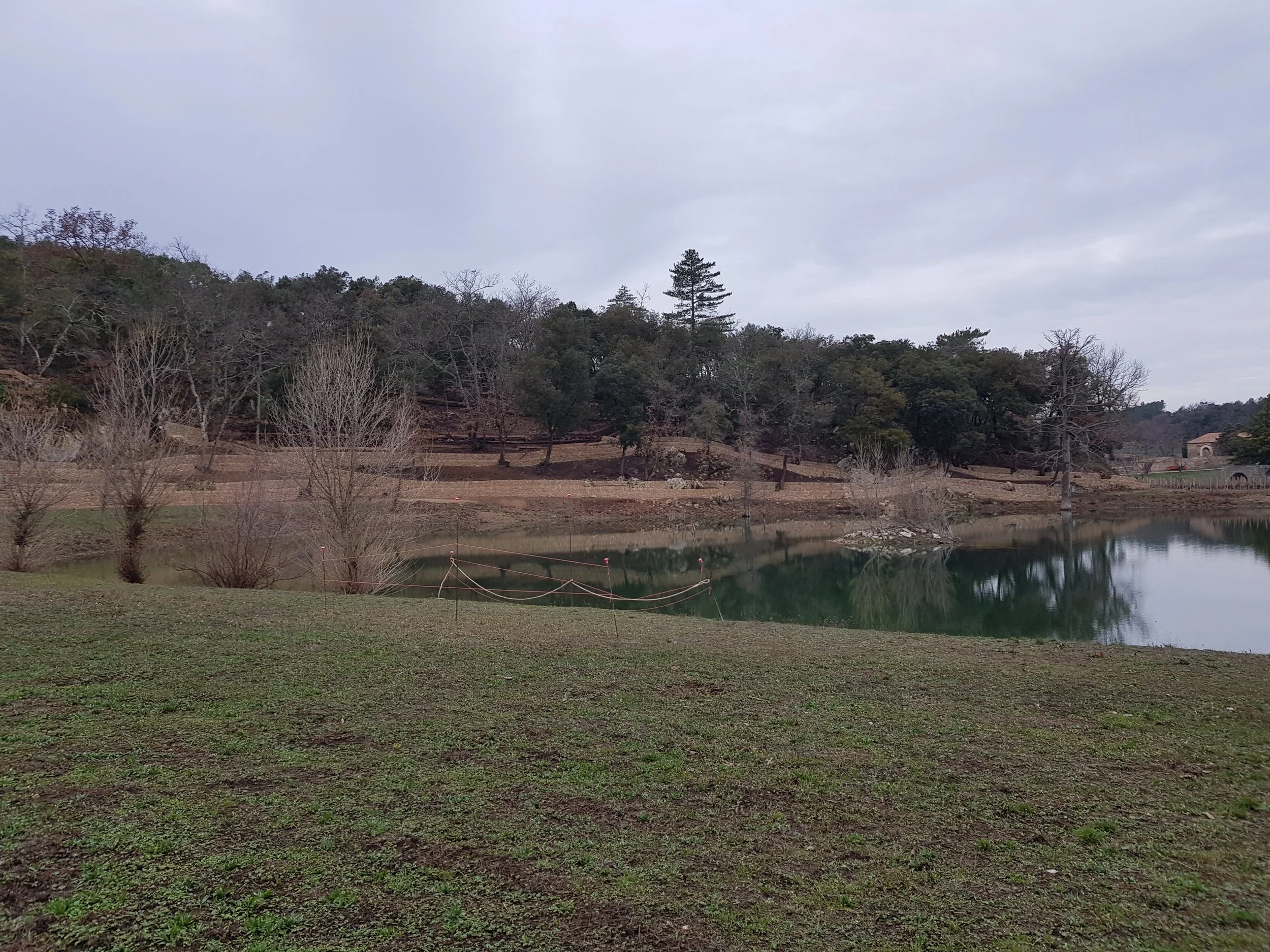 20180201_165027.jpg
