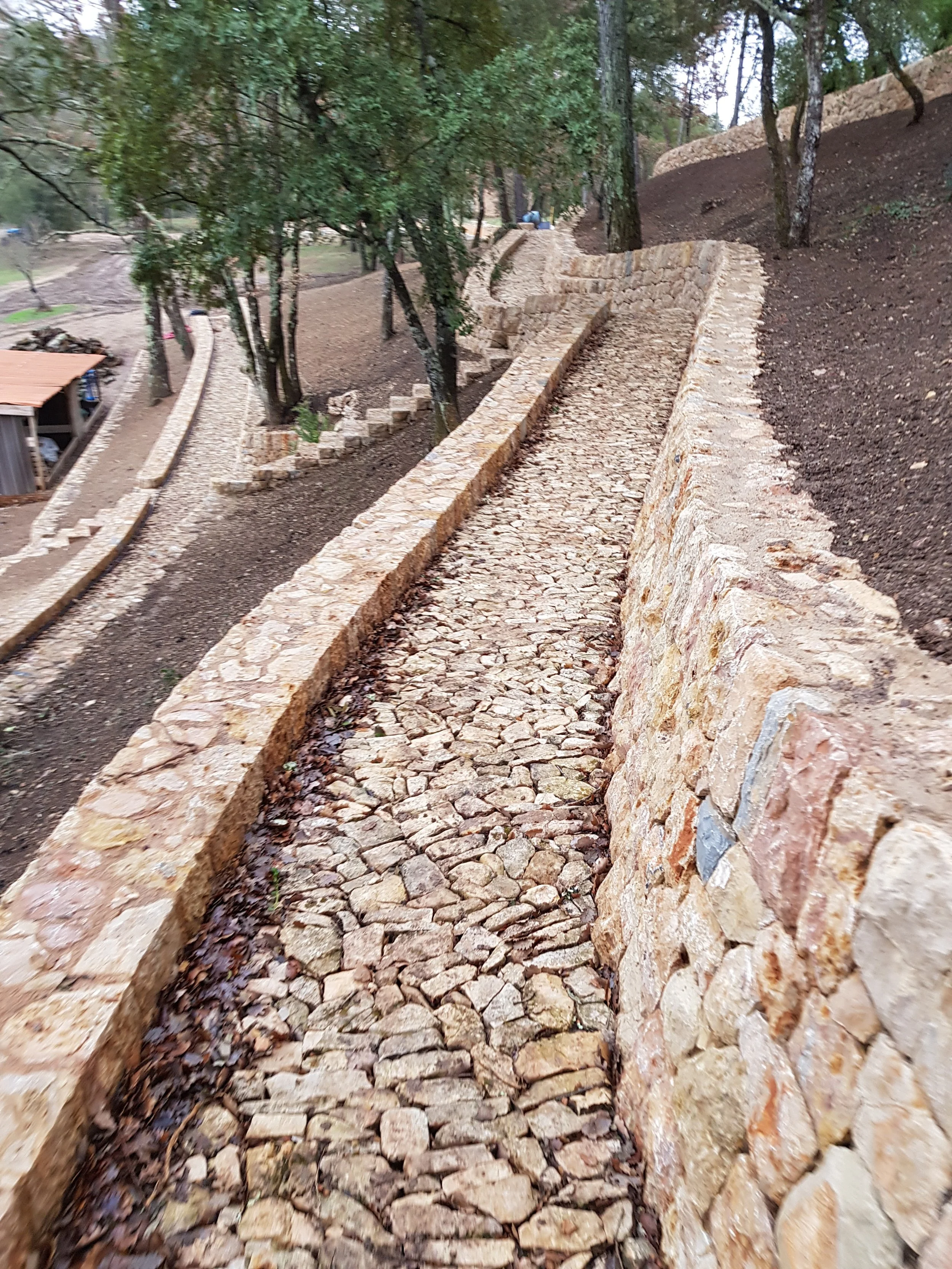 20180201_170919.jpg