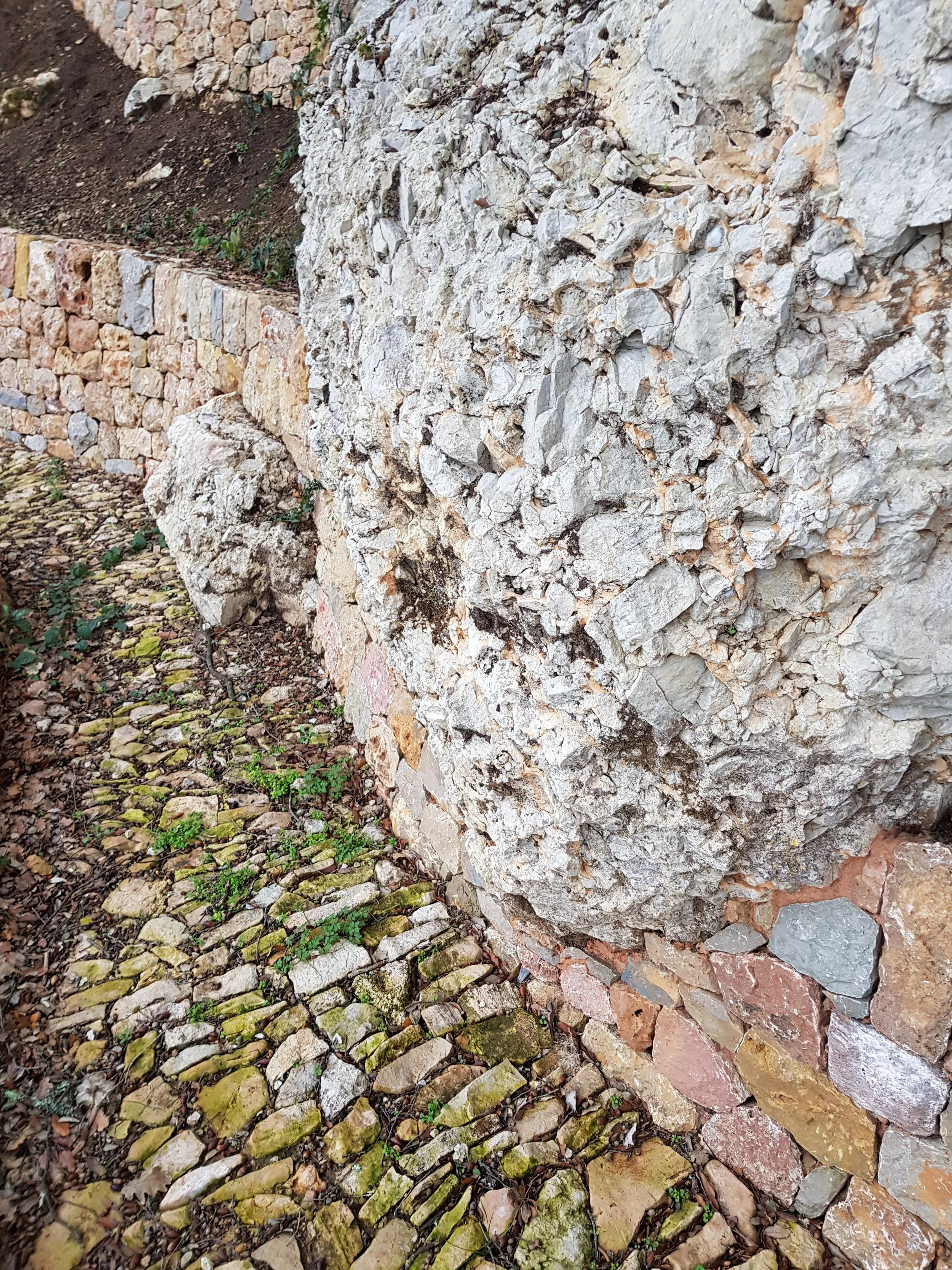 20180201_170002.jpg