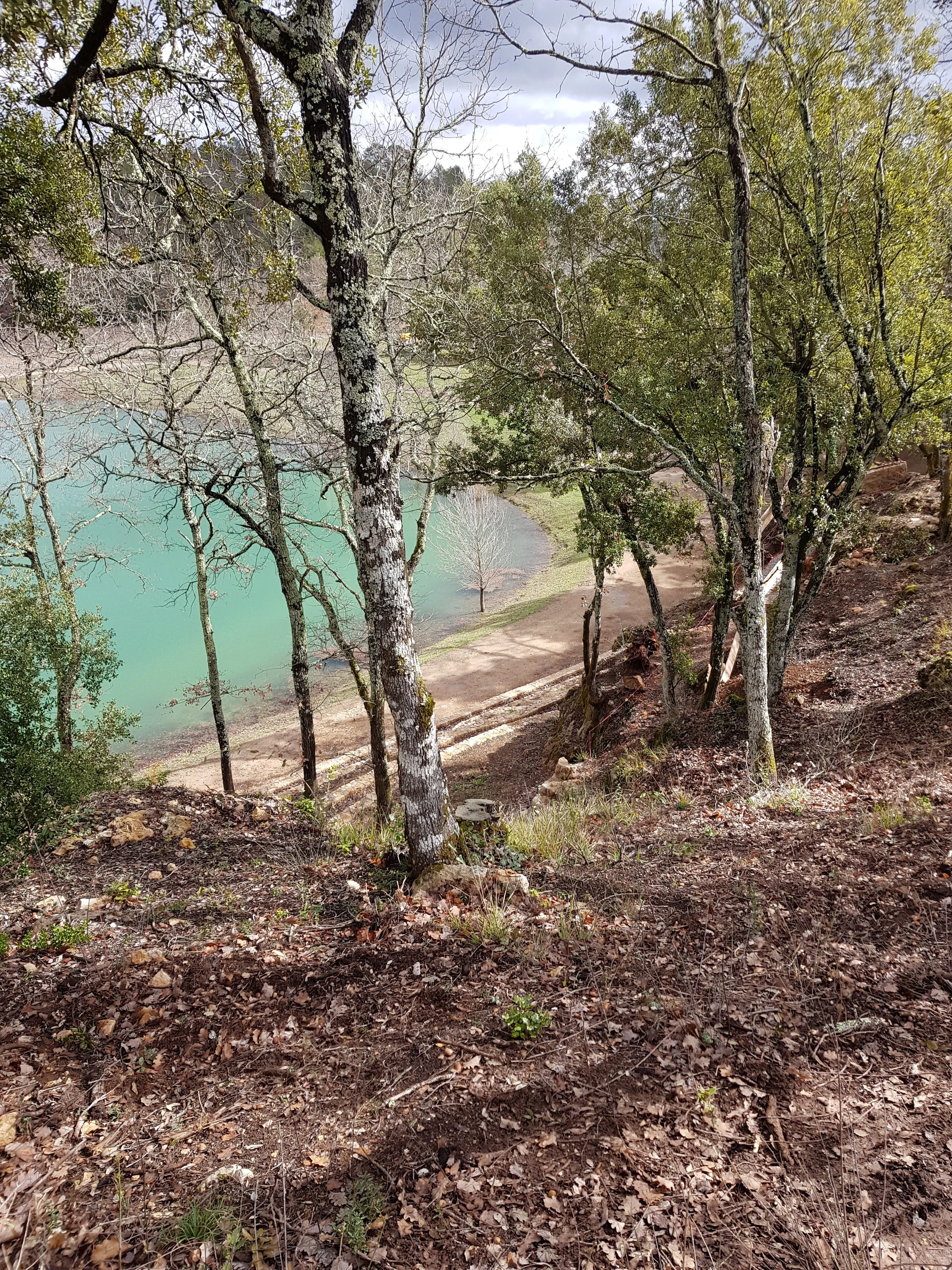 20180306_121730.jpg