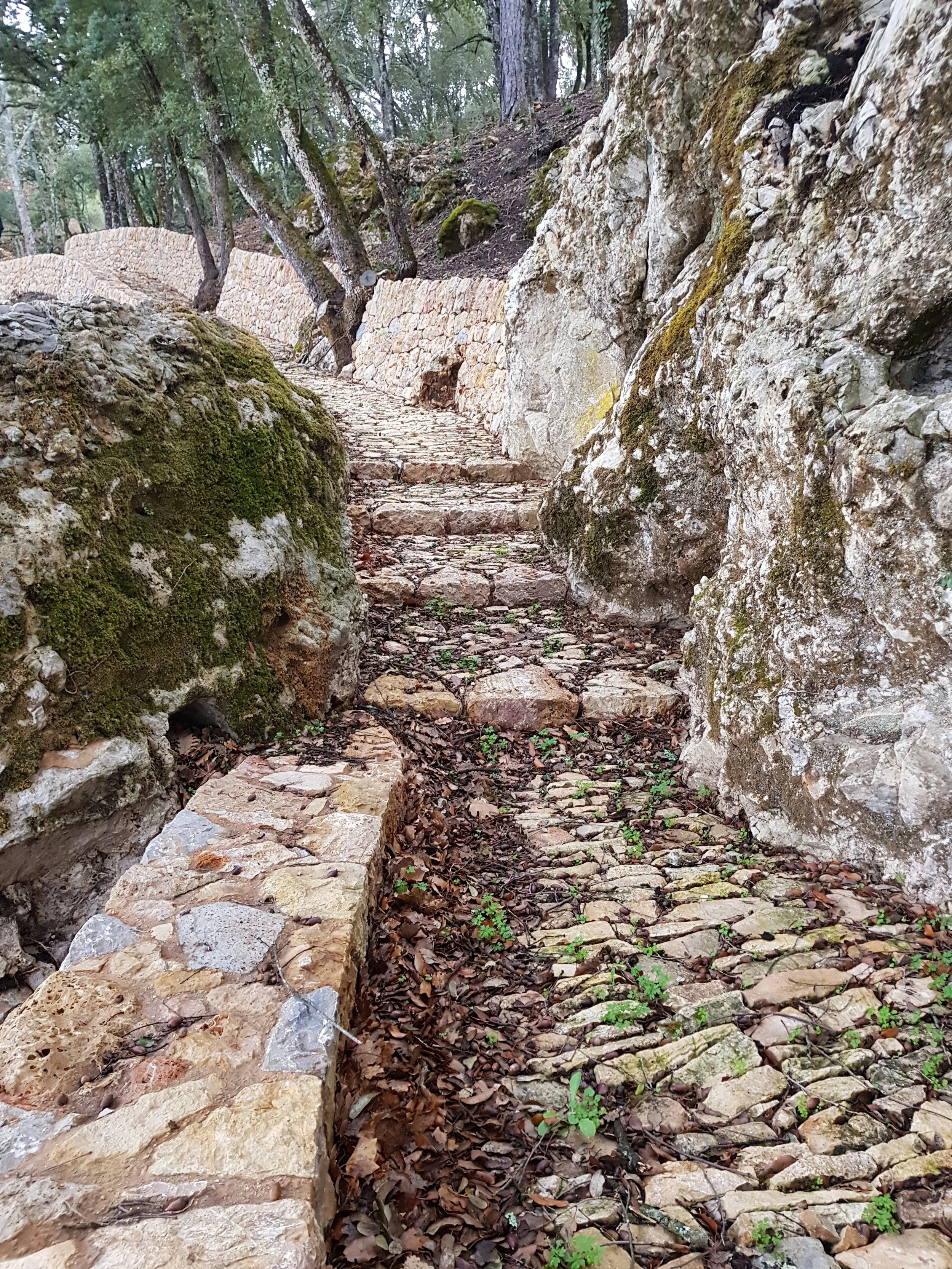 20180201_170121.jpg